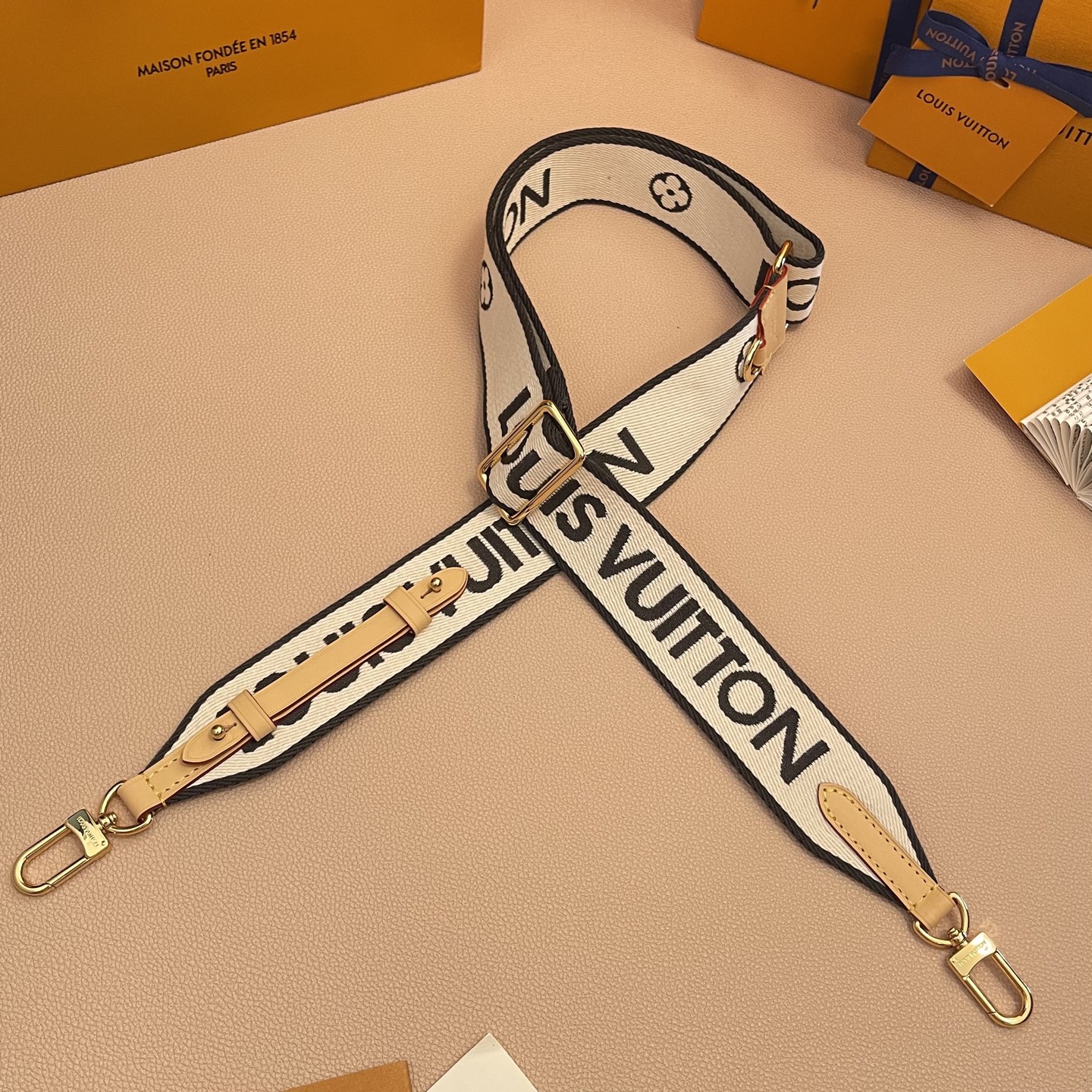Louis Vuitton Adjustable Bag Strap in Canvas with Spring Hook Design 3 i1754821777614 2442 0 1