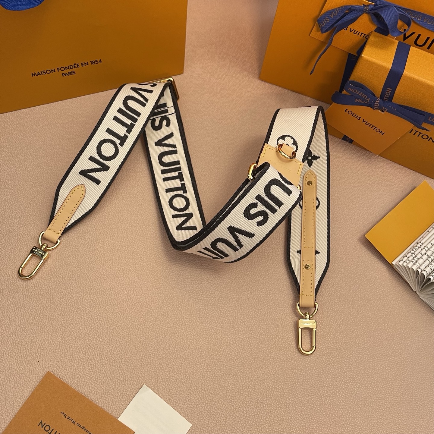 Louis Vuitton Adjustable Bag Strap in Canvas with Spring Hook Design 4 i1754821777693 9659 0 2