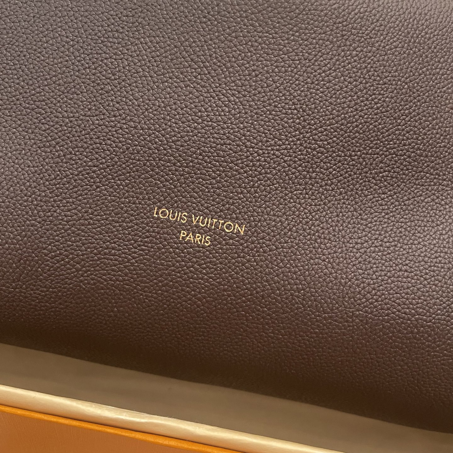 Louis Vuitton Brown Leather Express Bag with Monogram Trim and Lock 6 i1754986287044 7698 0 4