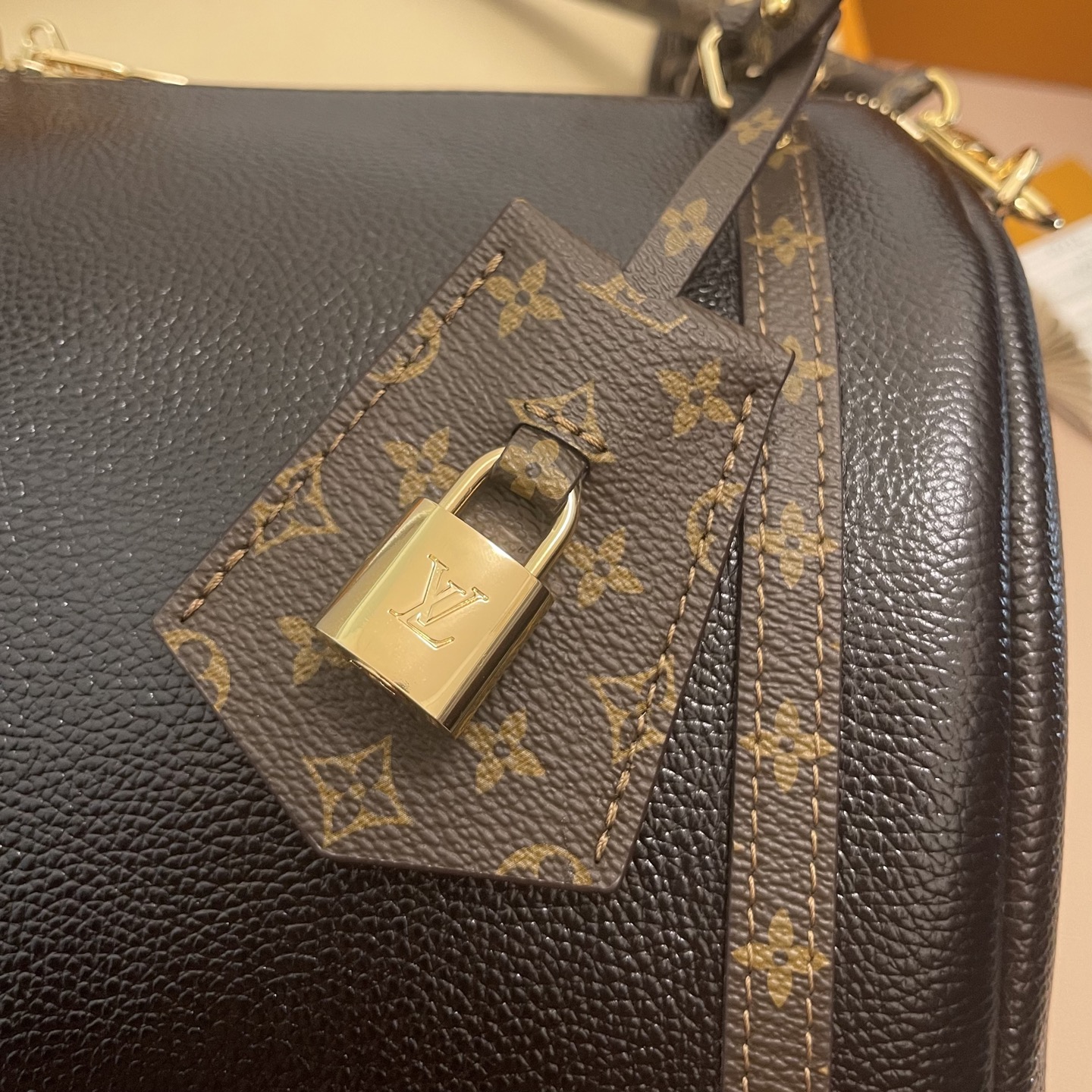 Louis Vuitton Black Expressential Handbag: Leather & Monogram Canvas Trim 8 i1754988677668 7809 0 6