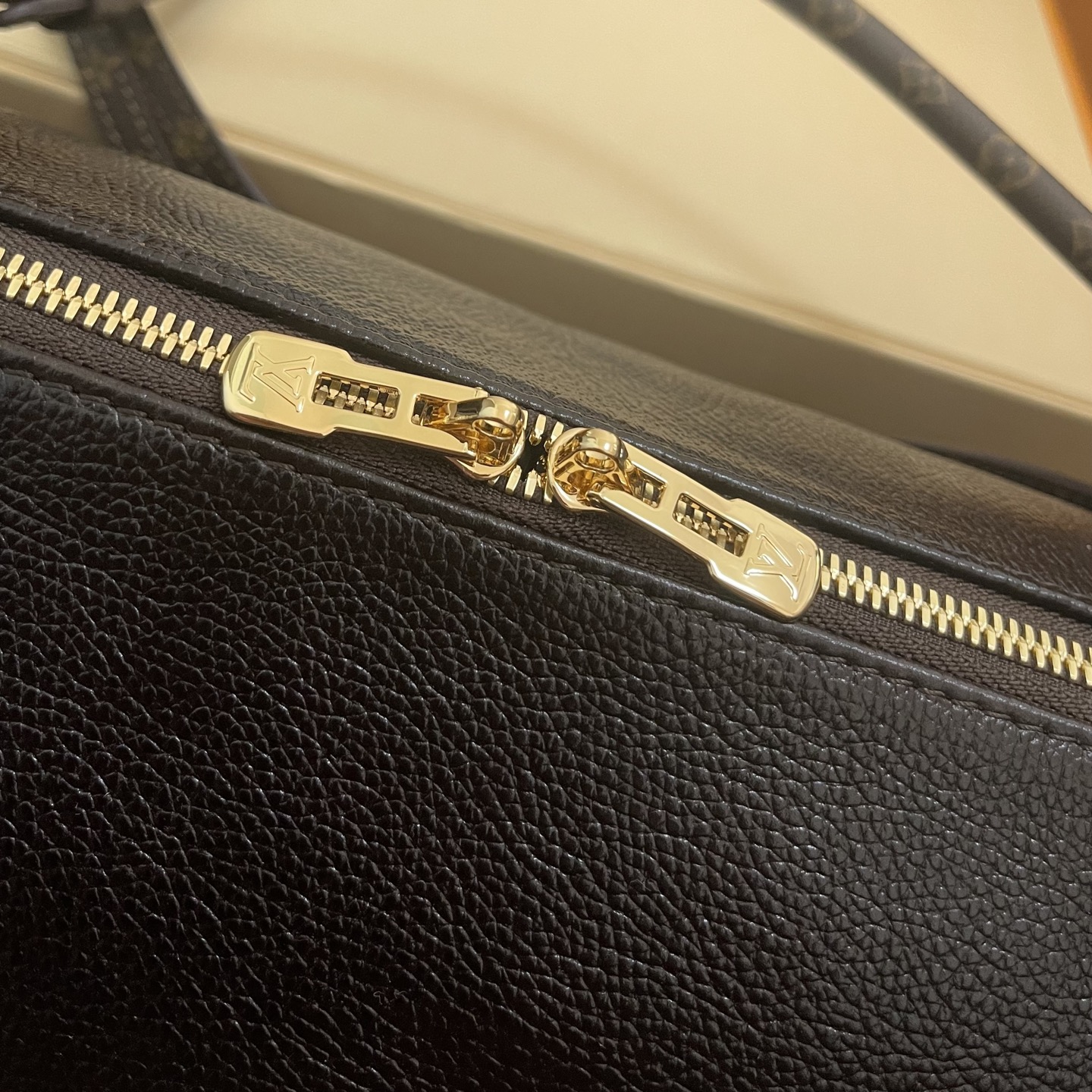 Louis Vuitton Black Expressential Handbag: Leather & Monogram Canvas Trim 6 i1754988688513 5806 0 4