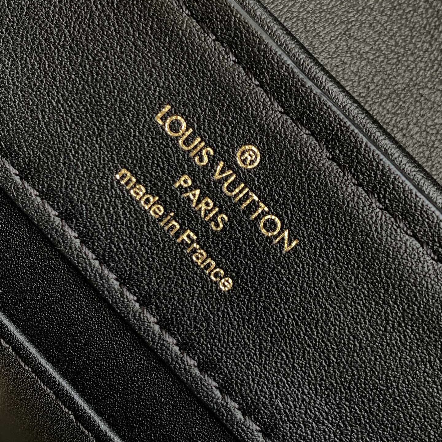 Louis Vuitton Capucines East-West Mini Bag - Handcrafted VIP Edition 10 i1756305148365 6713 0 7