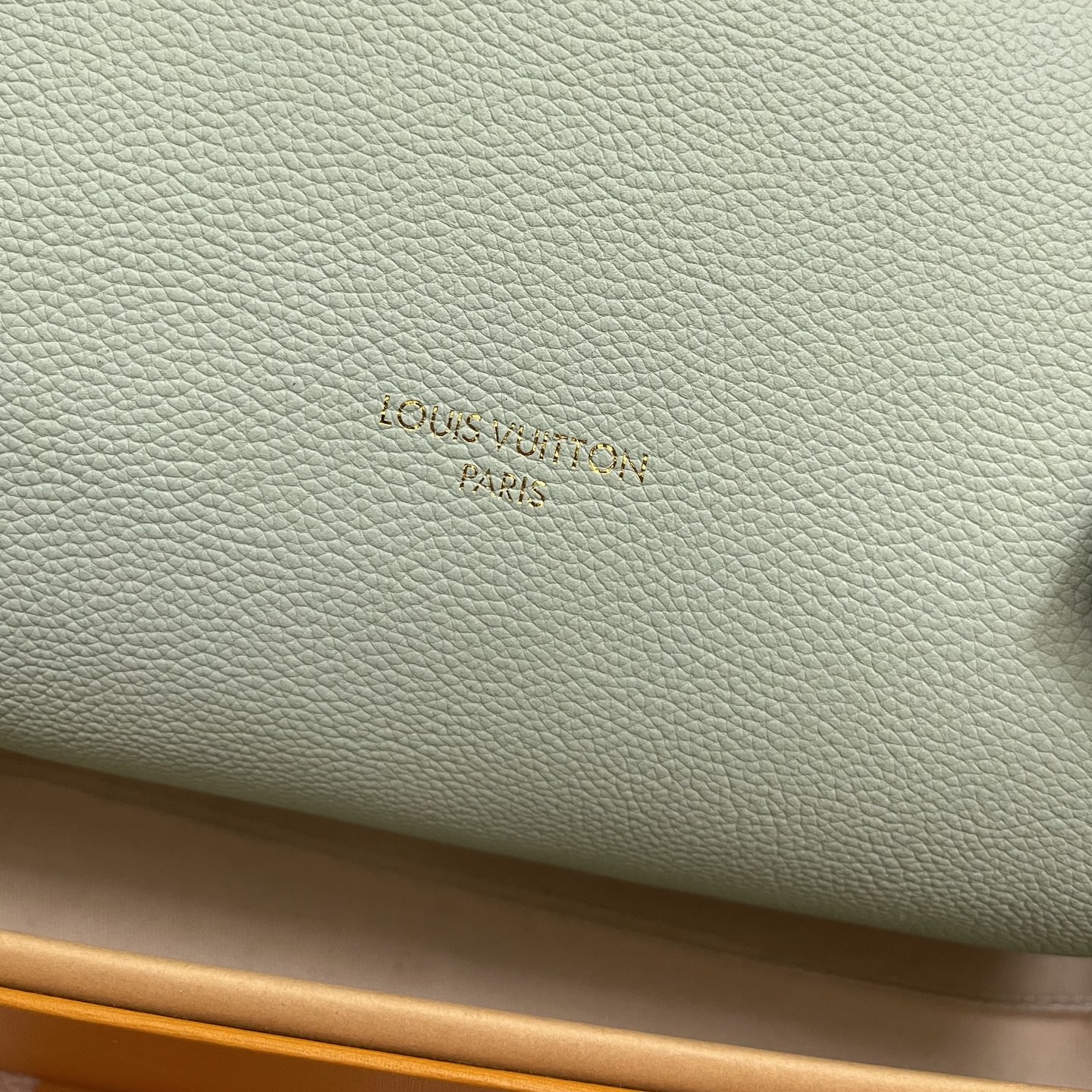 Louis Vuitton Green Leather Expressential Small Handbag With Lock 7 i1756537647132 652 0 5