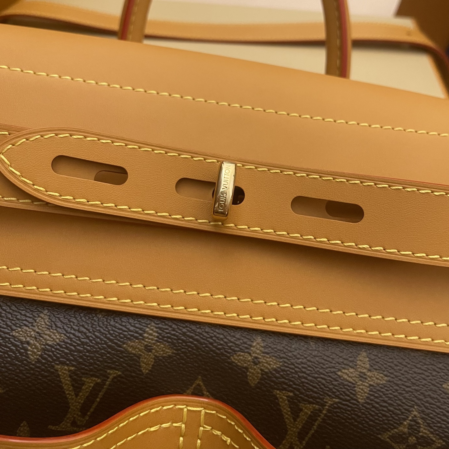 Louis Vuitton Steamer 30 Monogram Canvas Handbag Designed by Pharrell Williams 5 i1760706191954 2182 0 3