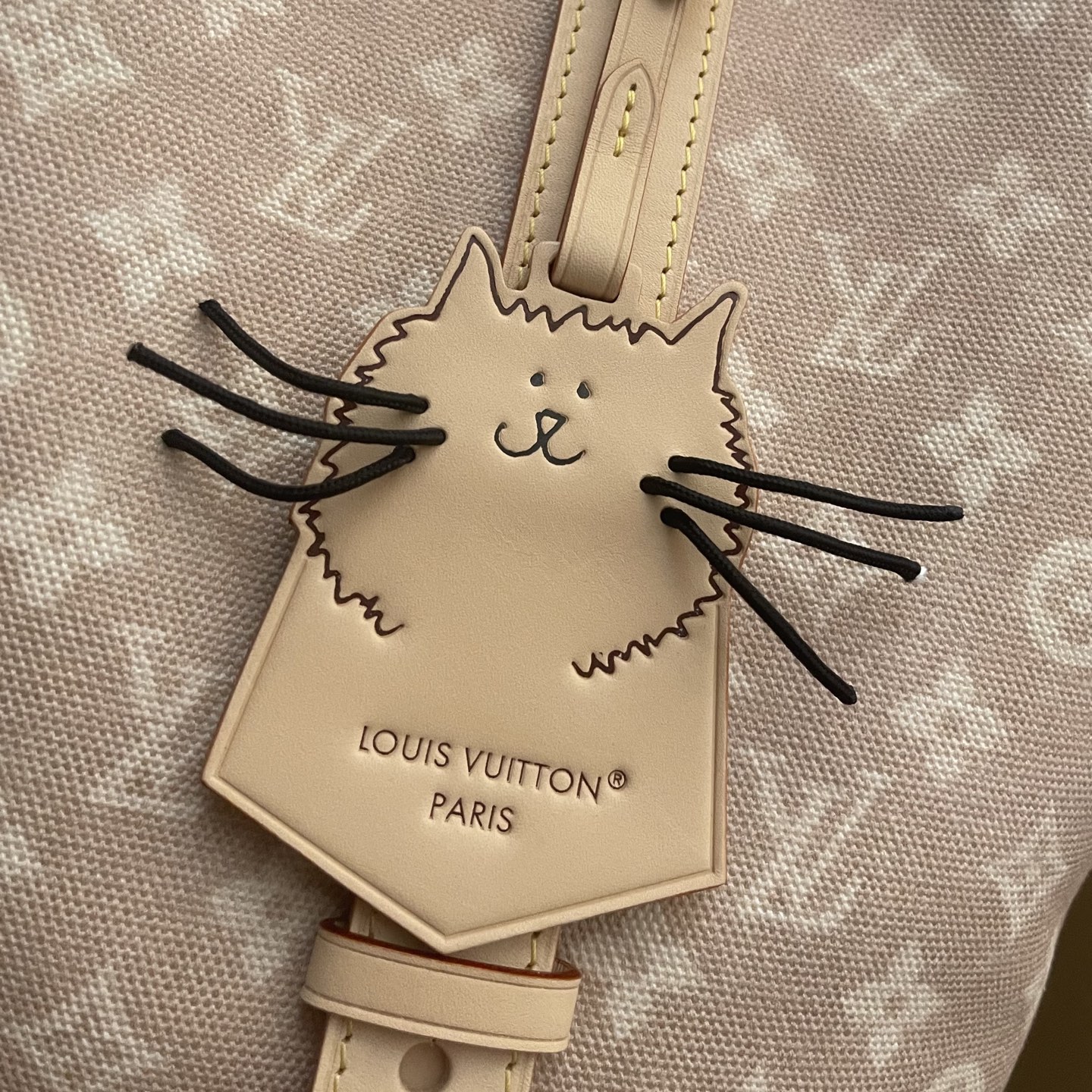 Louis Vuitton All In Large Bucket Bag - Meowgram Design, Spacious & Stylish 3 i1760788042371 6481 0 2