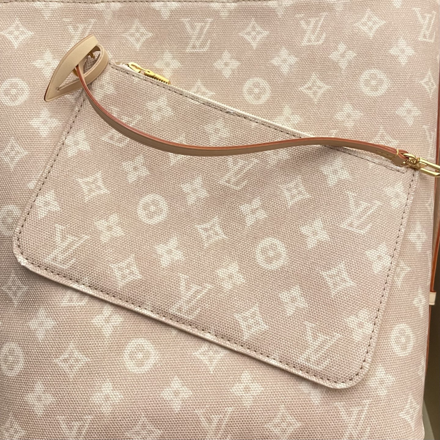 Louis Vuitton All In Large Bucket Bag - Meowgram Design, Spacious & Stylish 9 i1760788047085 8359 0 8