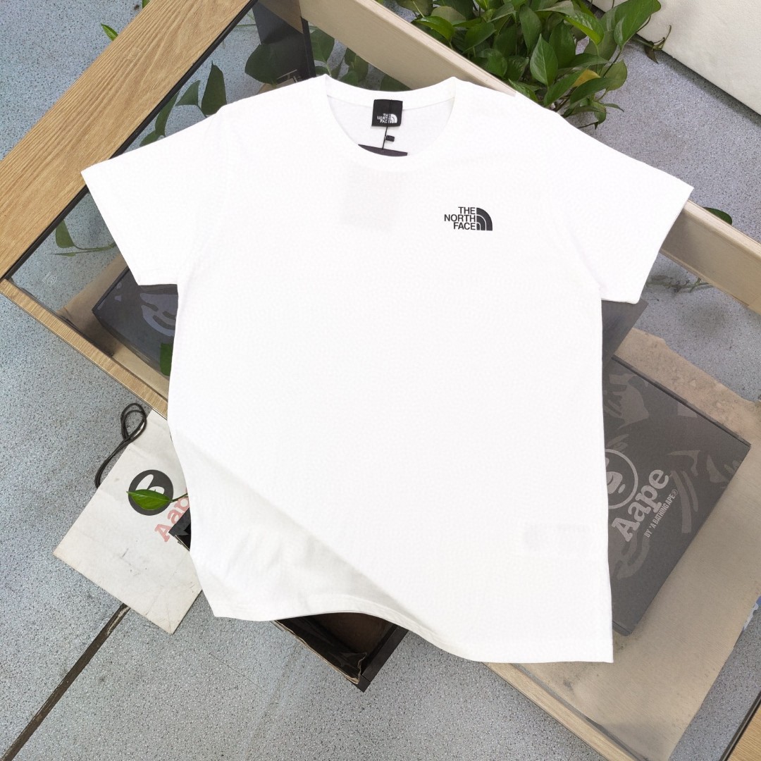 The North Face Summer T-Shirt - Small Logo, Mountain Print - Unisex
