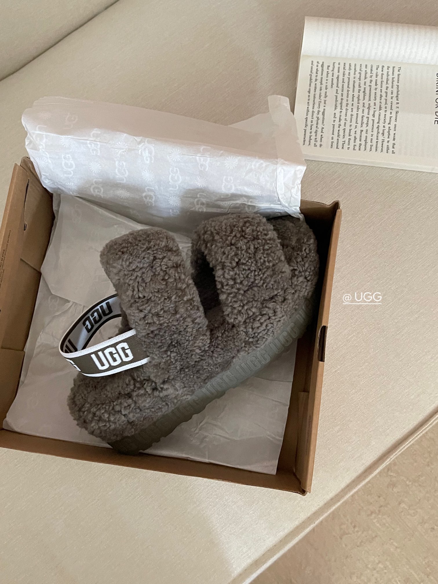 【ugg】秋冬周冬雨同款毛茸拖
 品名：欧芙拉菲塔，
隆丰泰迪毛松糕底拖 它是经典款oh yeah凉鞋的