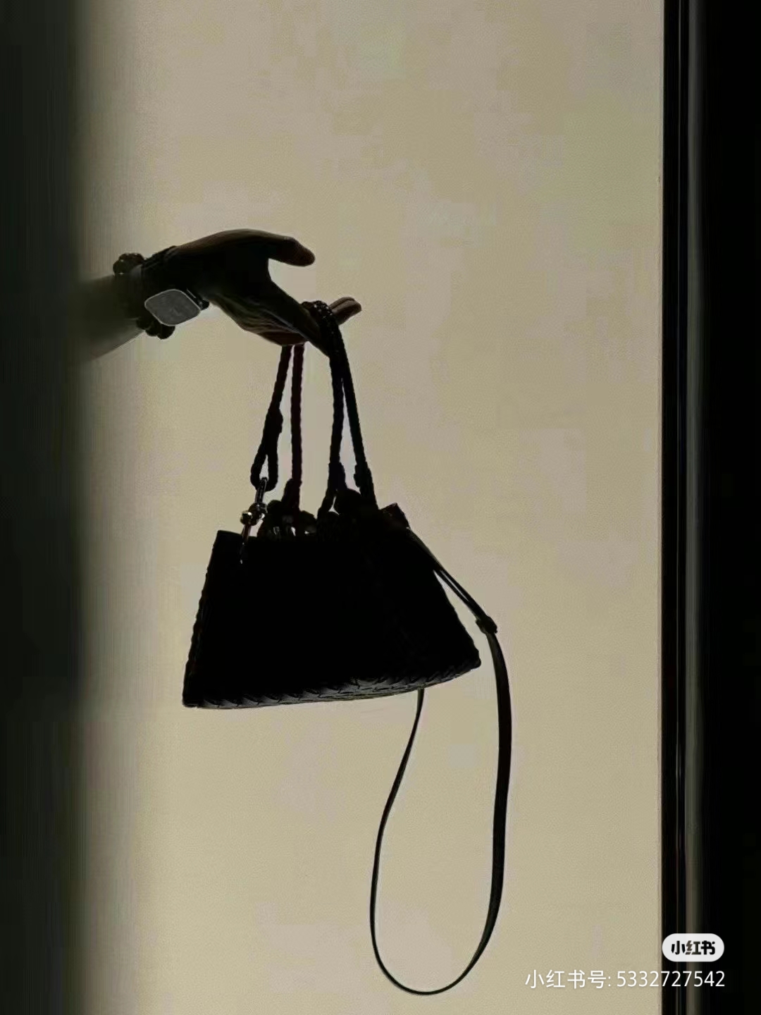 Bottega Veneta WOWA parachute fell from the sky