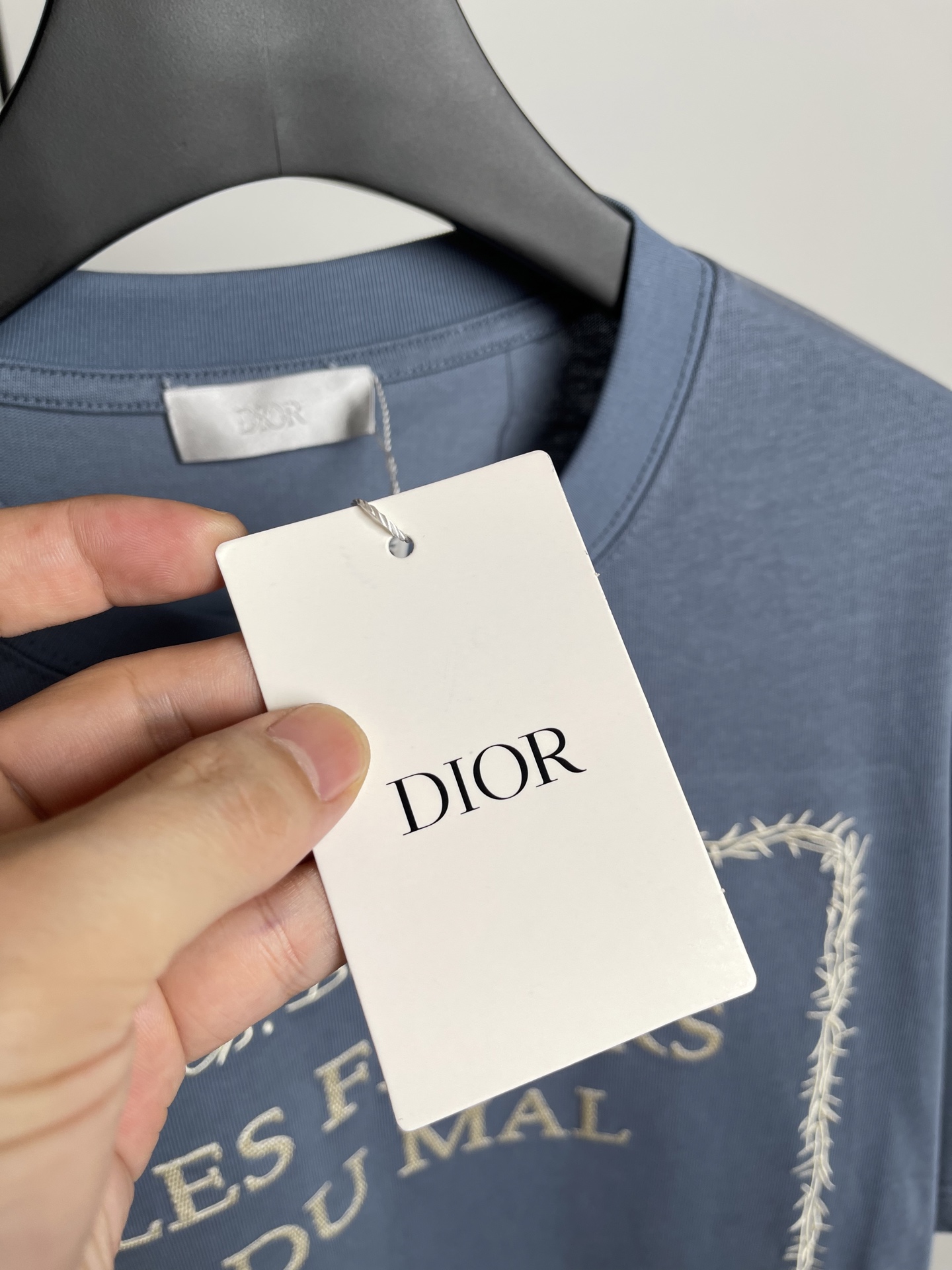 Dior2026春夏新品短袖T恤，原版印花刺绣.三标齐 ！简约百搭款。高克纯棉面料.穿着透气舒适！蓝色 