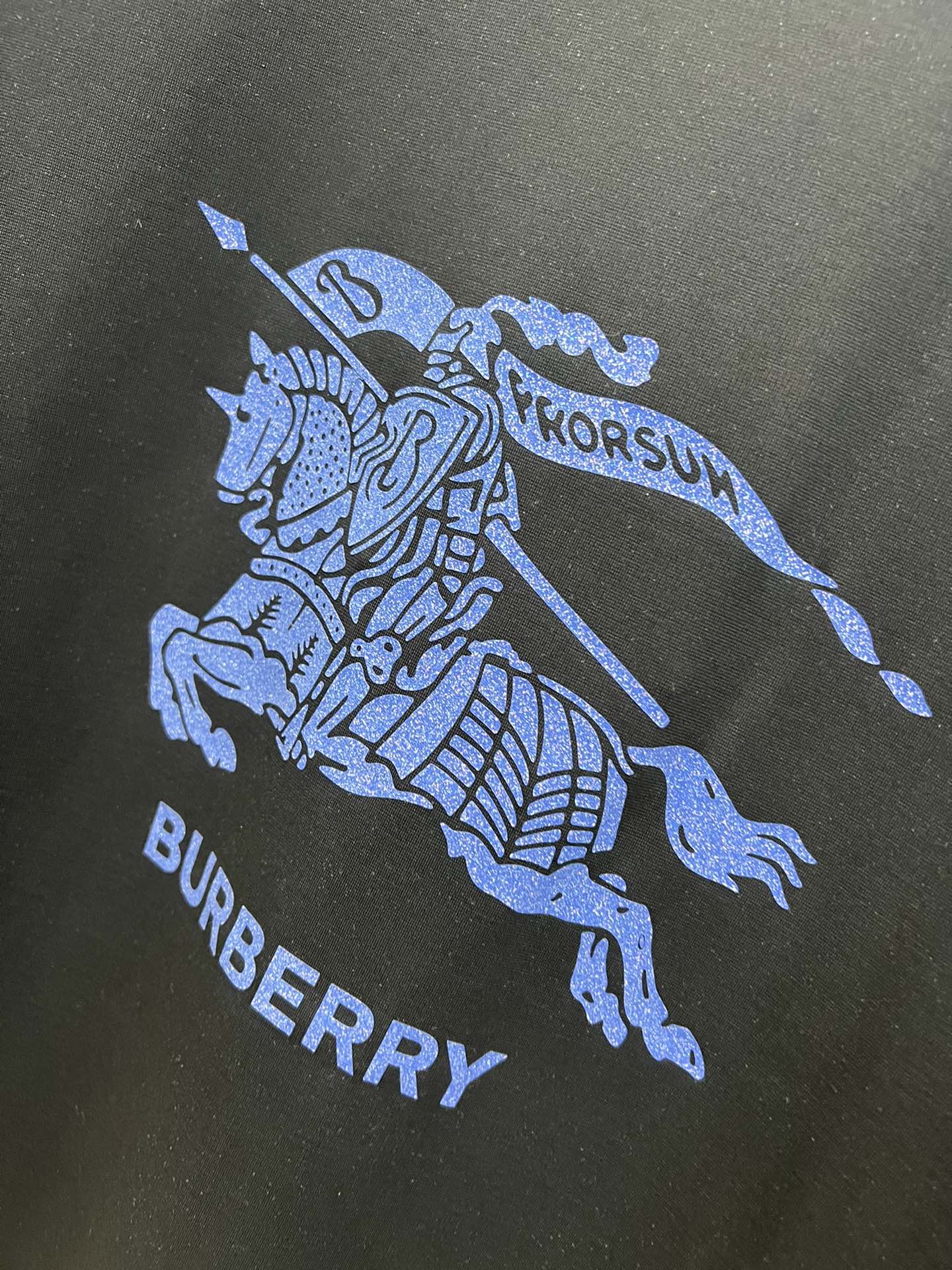 ️Burberry/巴宝莉2024年春夏新品上新三标齐全圆领短袖T恤好货不用过多介绍看细节专柜码数M-X