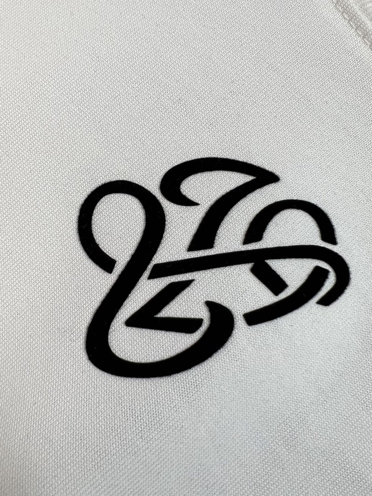 Louis Vuitton 2025 Spring/Summer White Cotton Short Sleeve T-Shirt 7 i1738947375304 3187 0 5