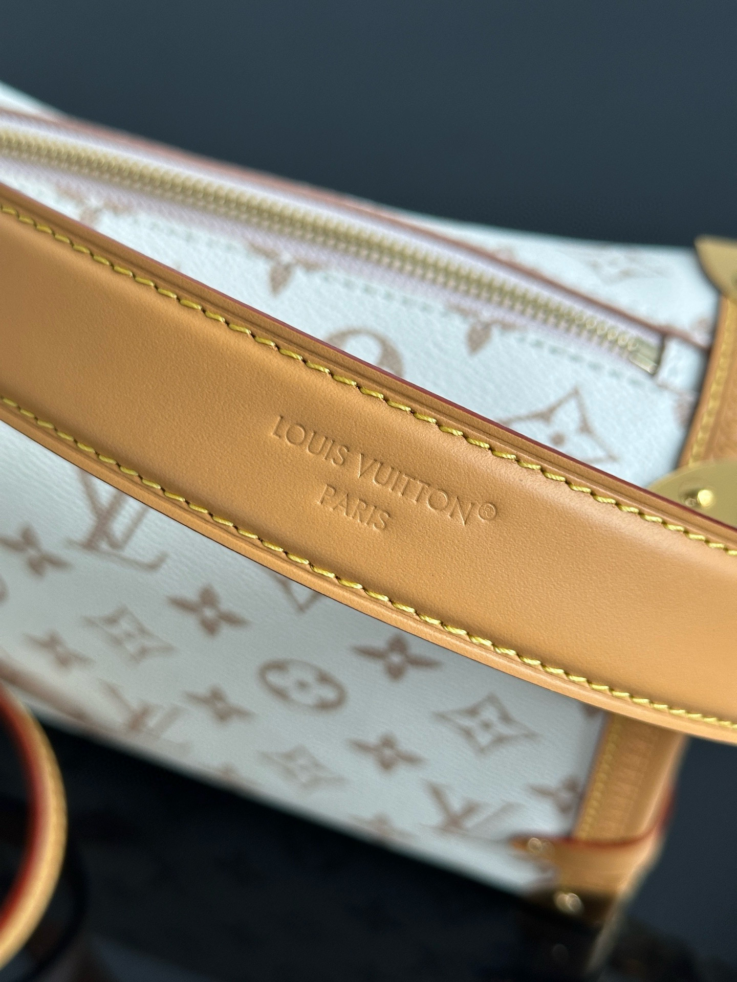 Louis Vuitton Side Trunk MM Dune Monogram Handbag, Luxury Designer Bag 11 i1754309627553 5959 0 11