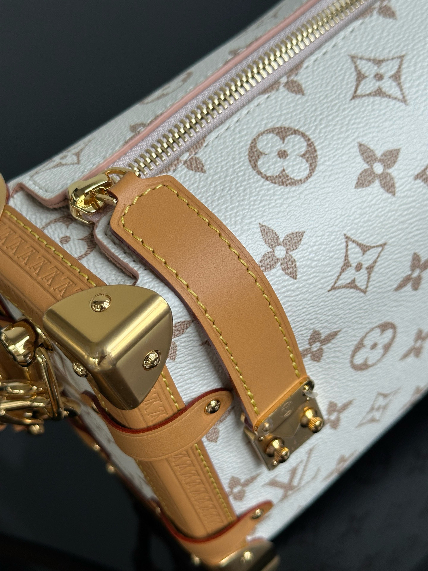 Louis Vuitton Side Trunk MM Dune Monogram Handbag, Luxury Designer Bag 10 i1754309627596 4080 0 10