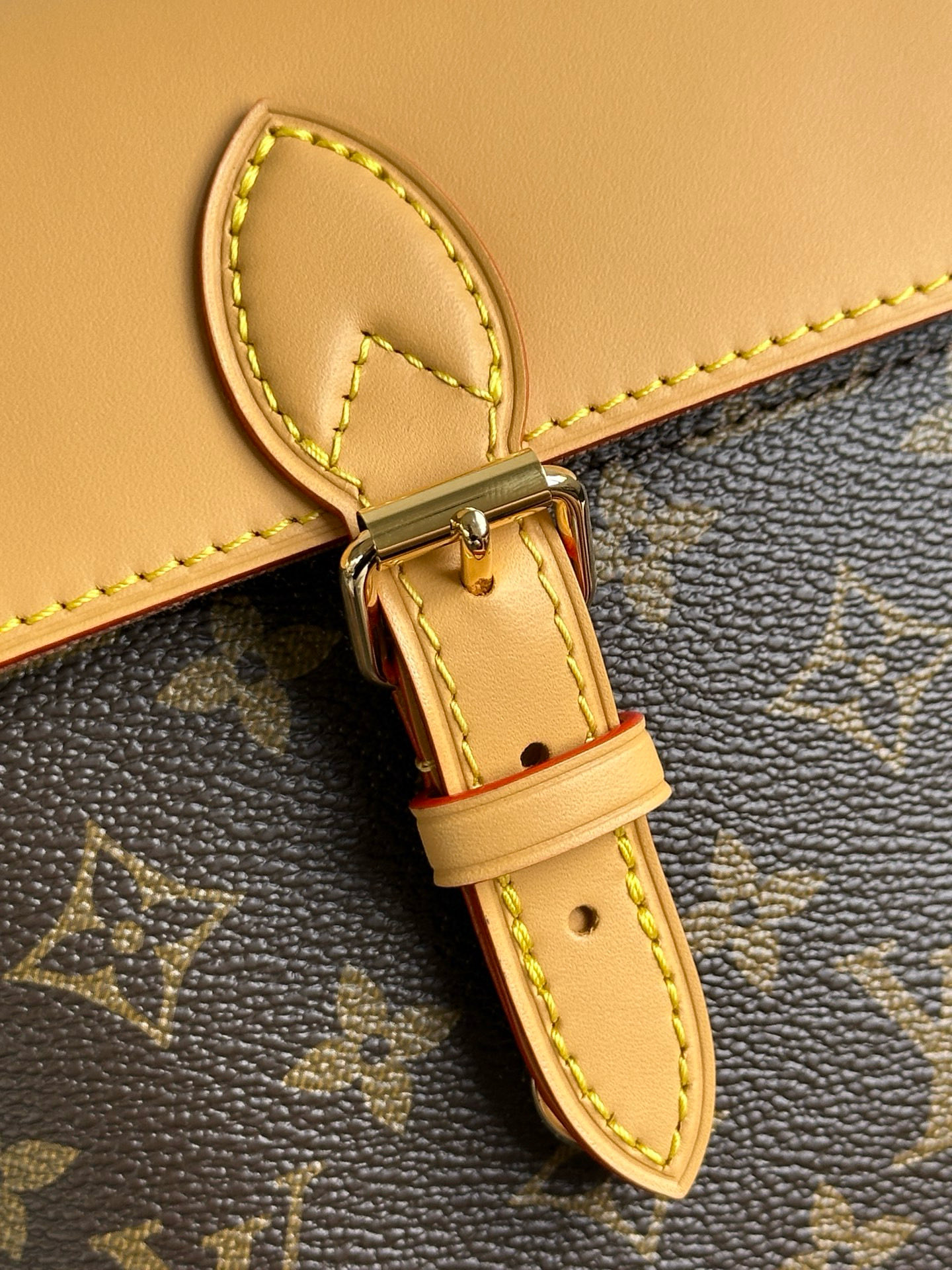 Louis Vuitton Soho Mini Backpack Monogram Canvas Leather Strap, 17 x 23 x 8 cm 12 i1756130953202 1402 0 10