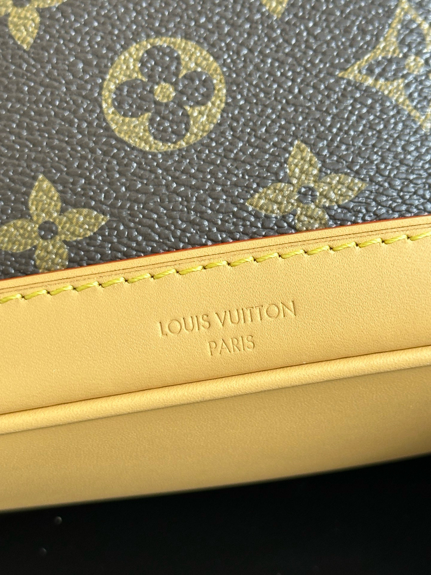 Louis Vuitton Soho Mini Backpack Monogram Canvas Leather Strap, 17 x 23 x 8 cm 9 i1756130953260 3 0 11