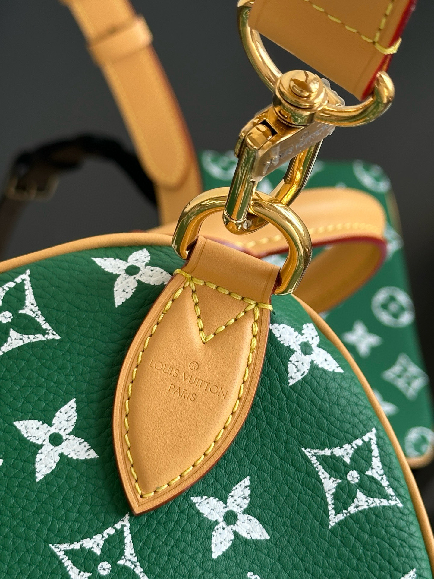 Louis Vuitton Speedy Bandoulière 30 Green Monogram Leather Handbag 12 i1756449118048 4118 0 10