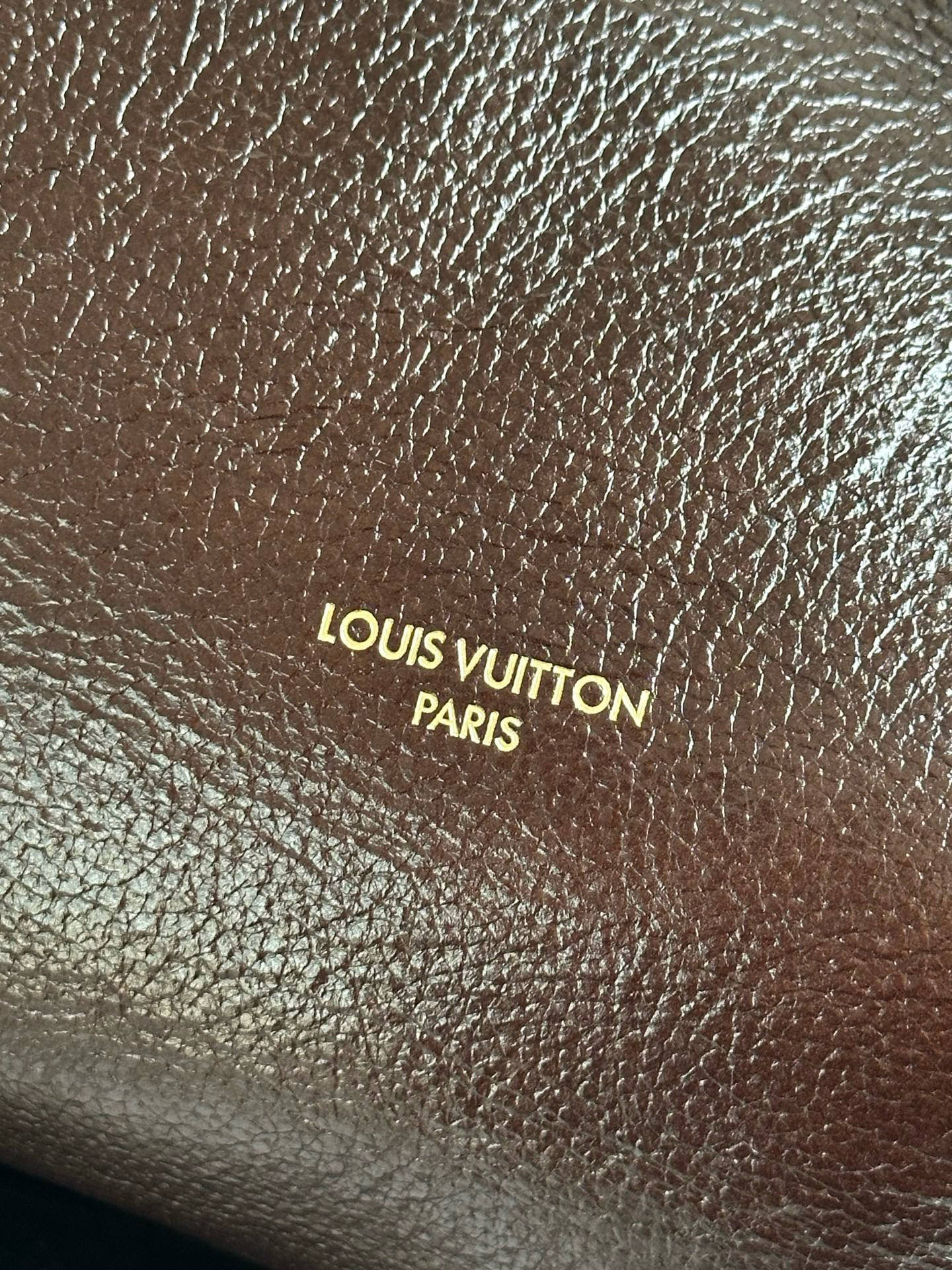 Louis Vuitton Express Medium Brown Leather Satchel Bag with Monogram Detail 11 i1757592993608 3154 0 9