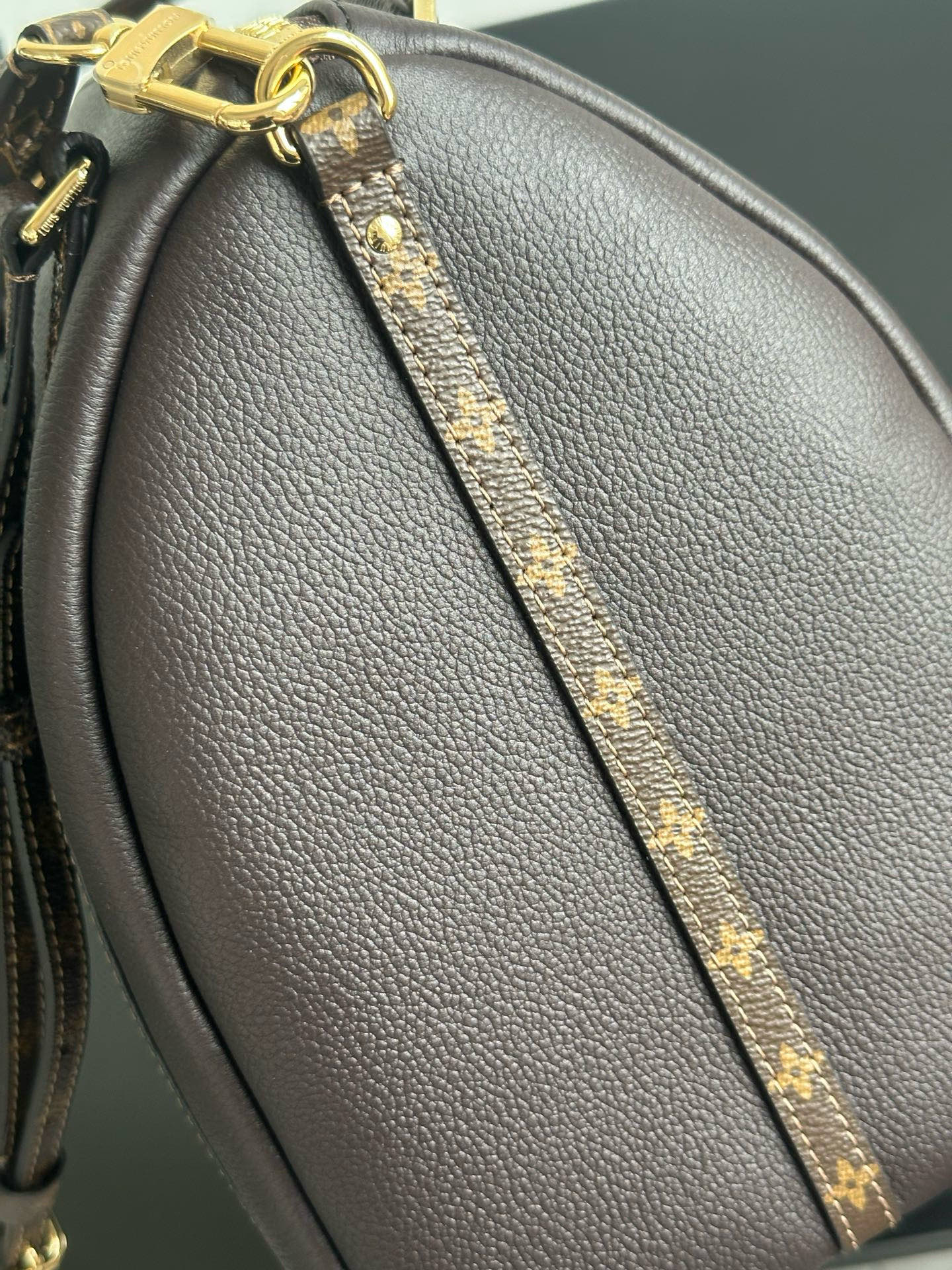 Louis Vuitton Express Medium Dark Brown Leather Handbag with Monogram Trim 11 i1757593514001 5003 0 12