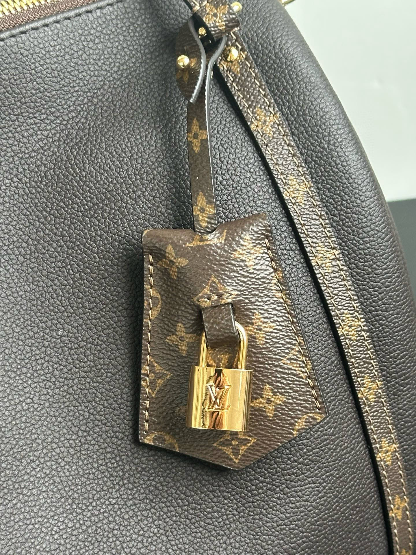 Louis Vuitton Express Medium Dark Brown Leather Handbag with Monogram Trim 9 i1757593514025 8125 0 10