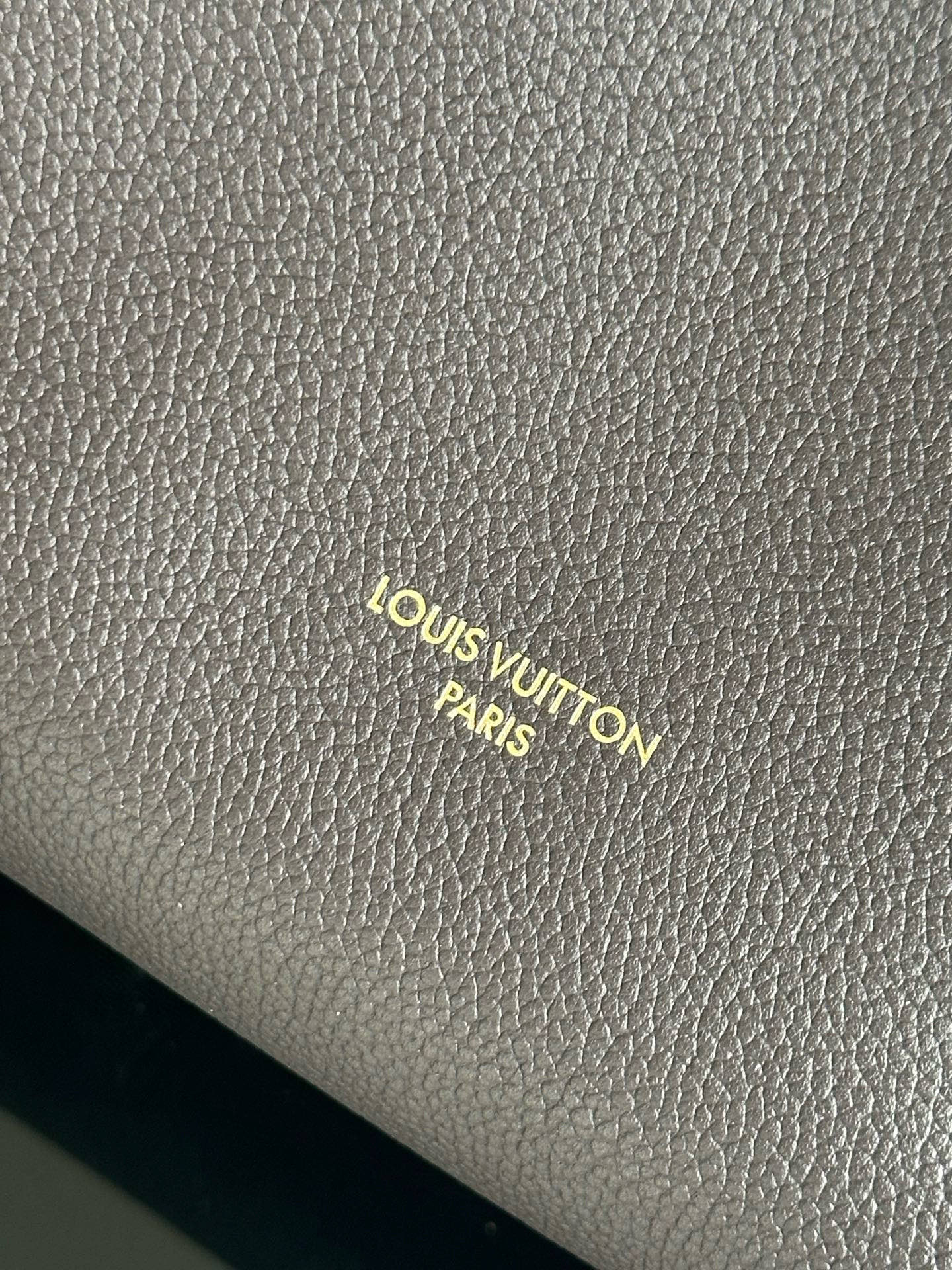 Louis Vuitton Express Medium Dark Brown Leather Handbag with Monogram Trim 10 i1757593514908 7560 0 9