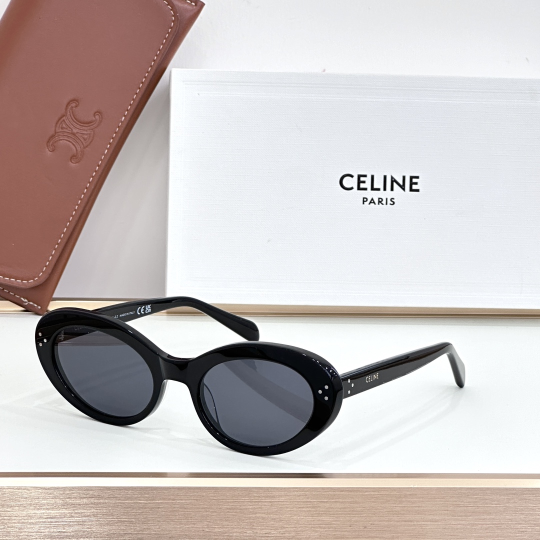 CELINE 太阳镜 板材 椭圆 黑色