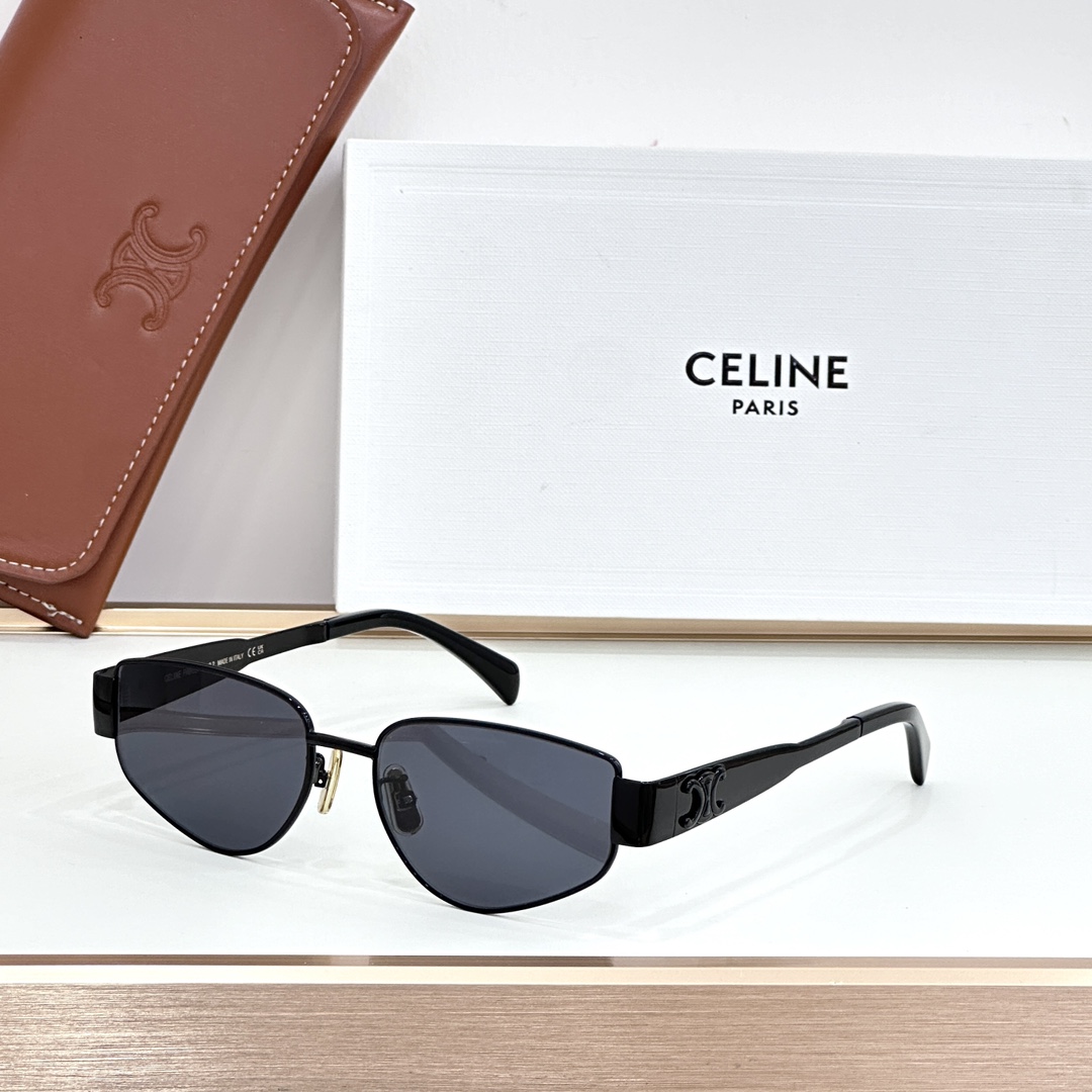 CELINE Sunglasses Metal Black Irregular