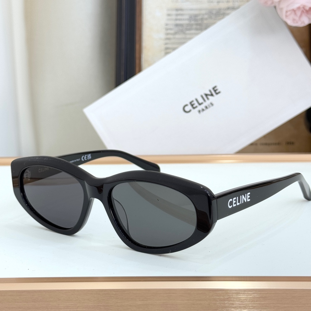 CELINE Sunglasses Acetate Black Oval