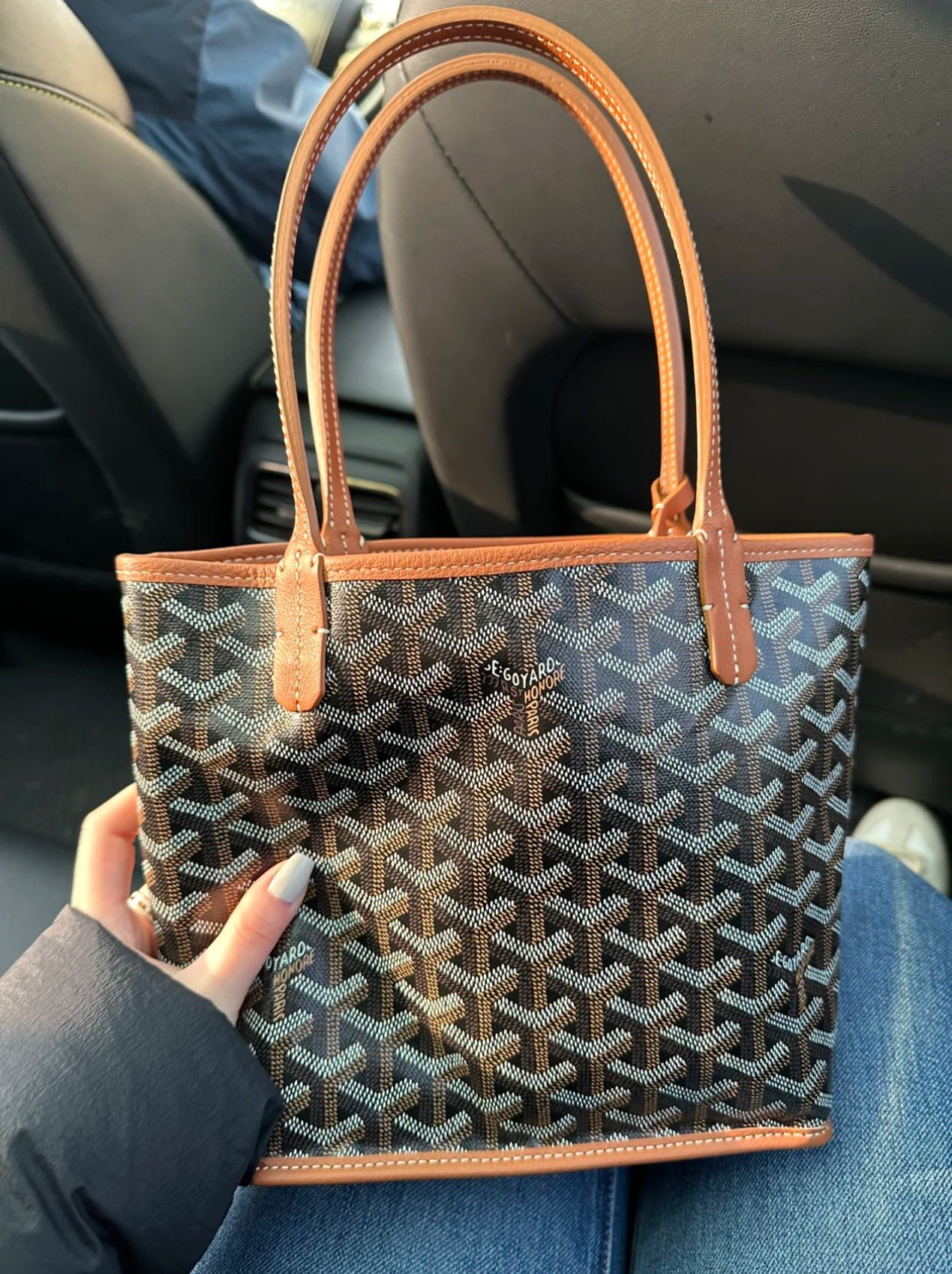 Goyard mini everyday