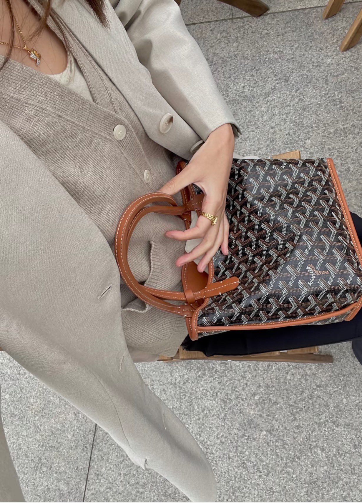 Goyard mini everyday