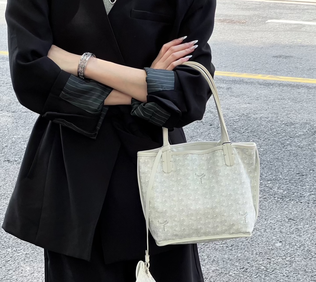 Goyard mini everyday