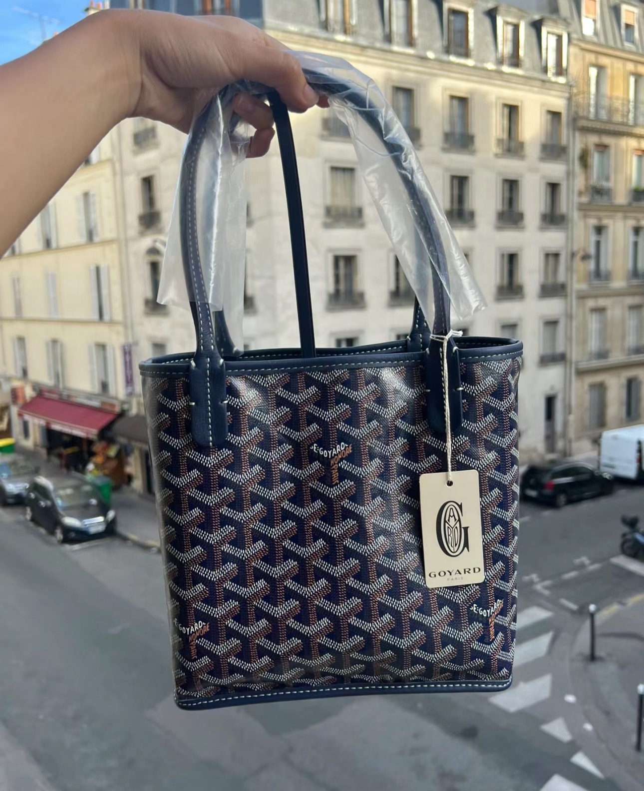 Goyard mini everyday