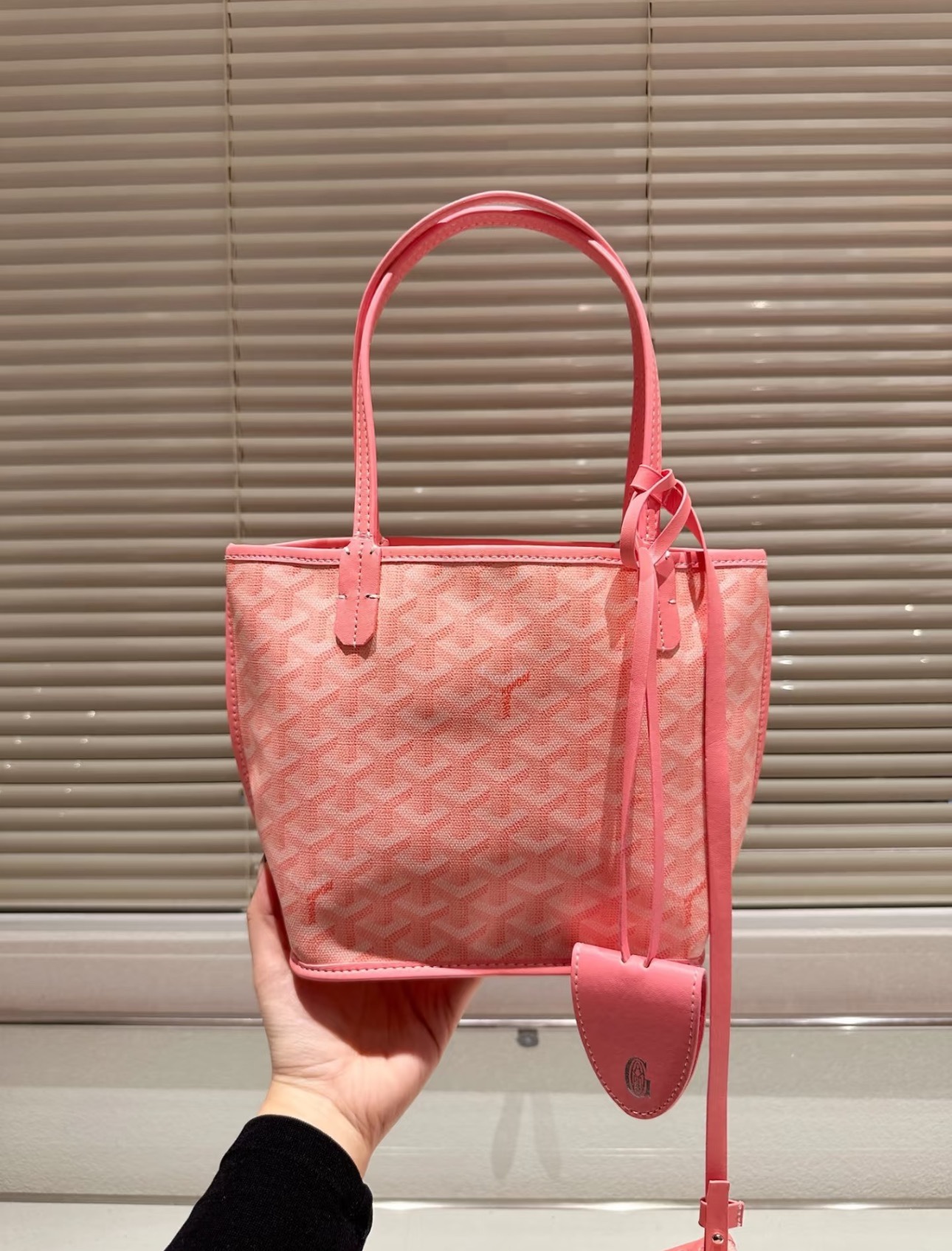 Goyard mini everyday