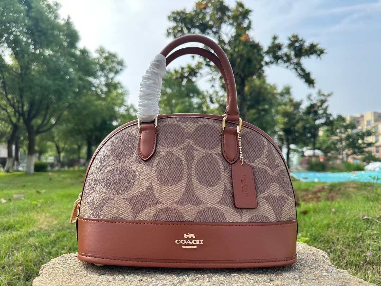 Coach COACH贝壳包漾开初夏涟漪