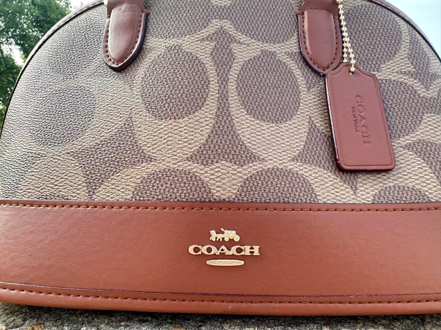 Coach COACH贝壳包漾开初夏涟漪