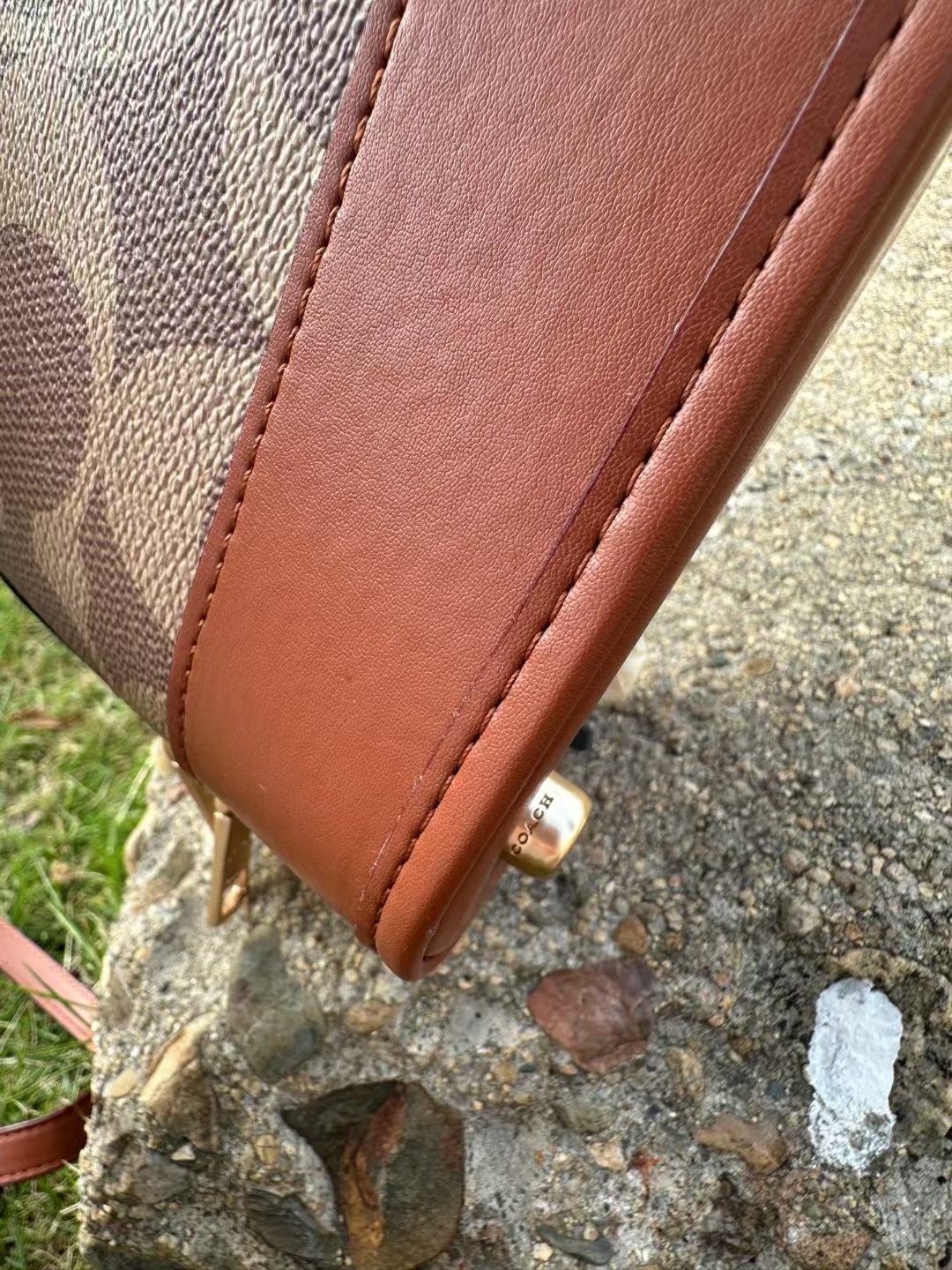 Coach COACH贝壳包漾开初夏涟漪