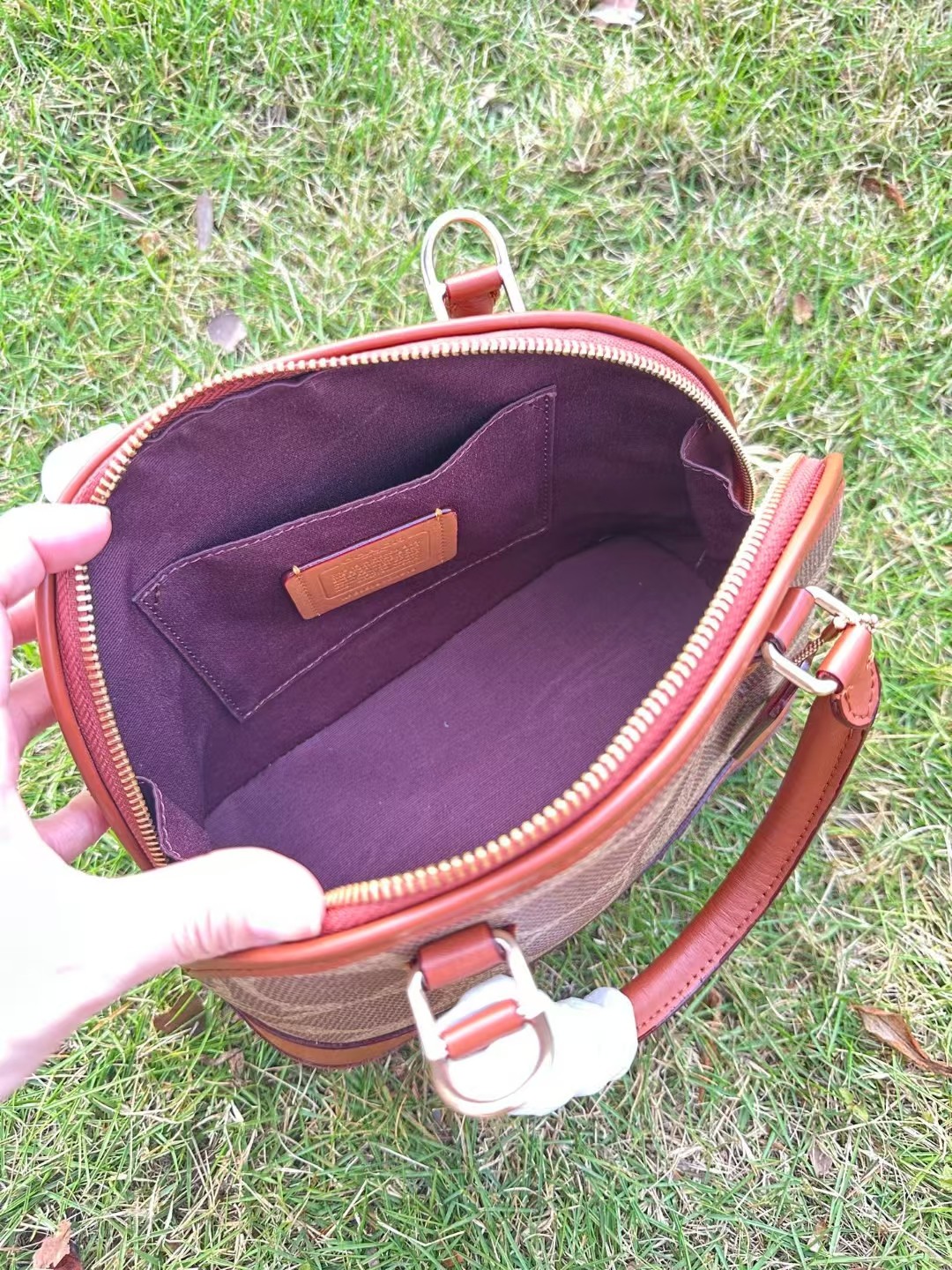 Coach COACH贝壳包漾开初夏涟漪