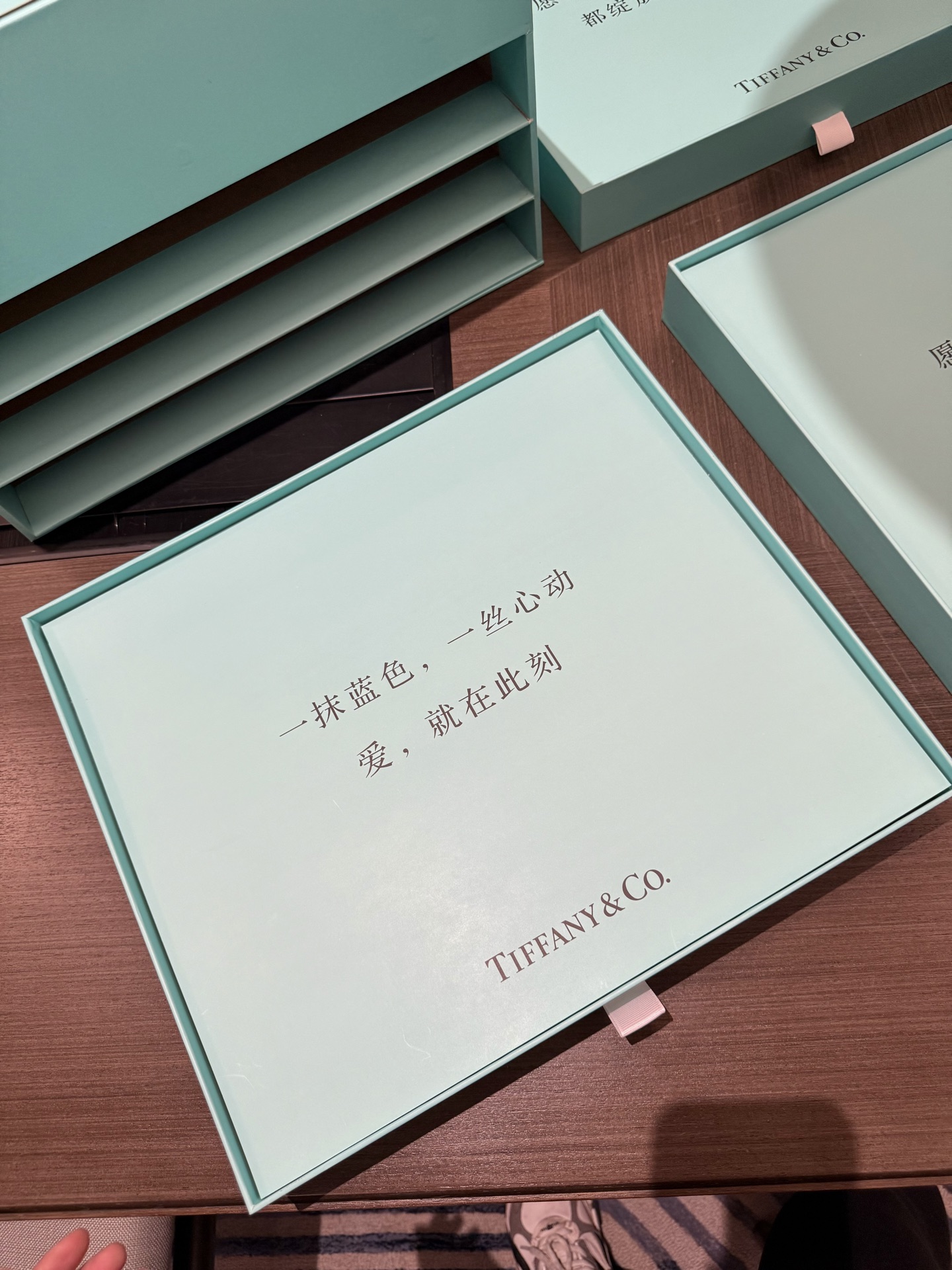 Tiffany & Co Haute Couture Maison Lifestyle Luxury Home Decor Blanket 5