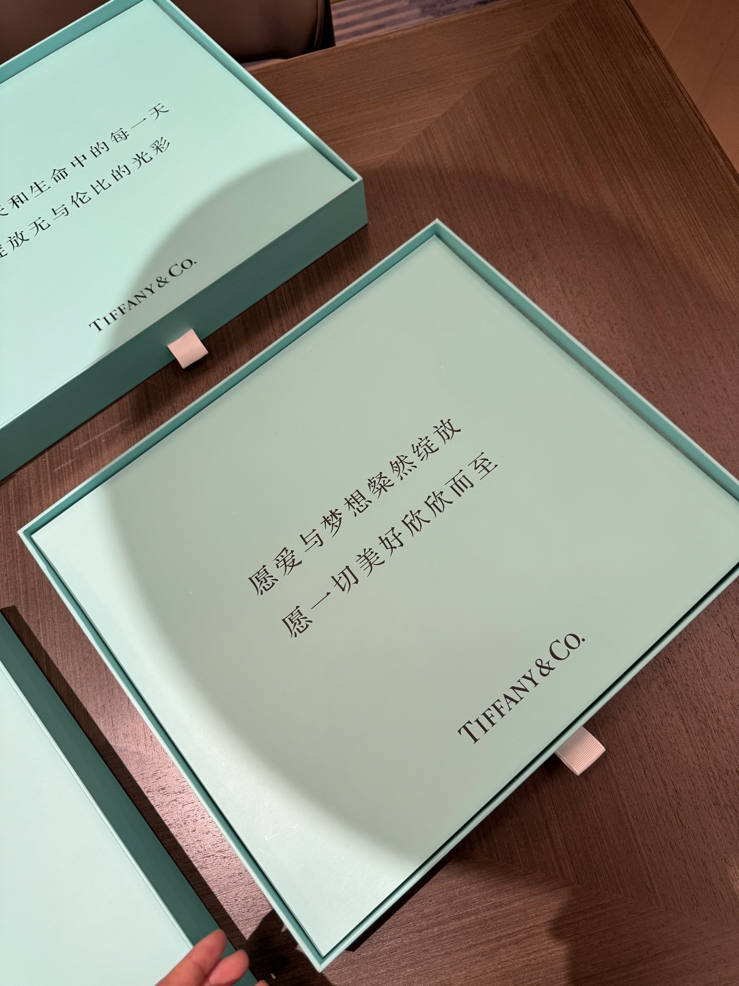 Tiffany & Co Haute Couture Maison Lifestyle Luxury Home Decor Blanket 4