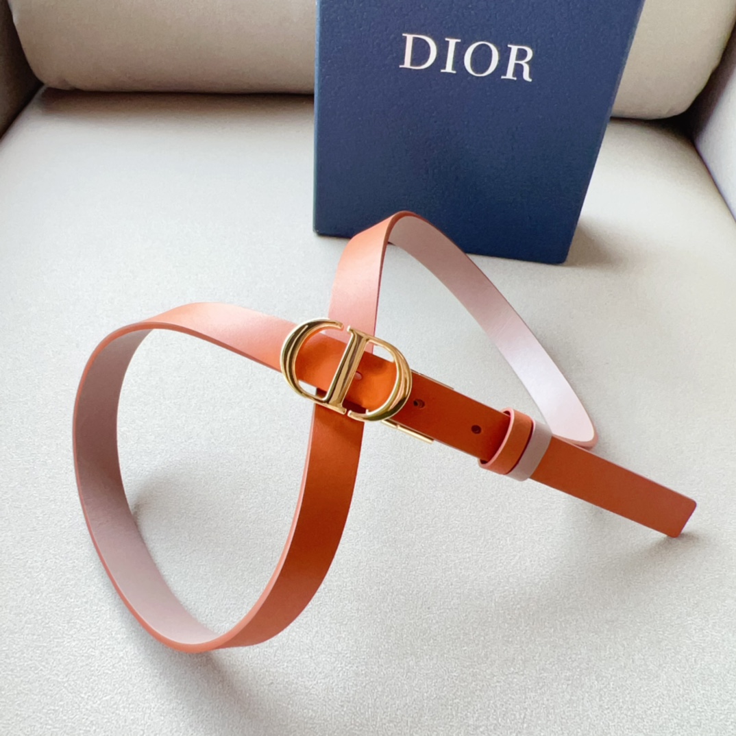 Montaigne*CD*腰带饰有*ChristianDior*标志富有光泽的金色饰面金属细节两个可拆卸