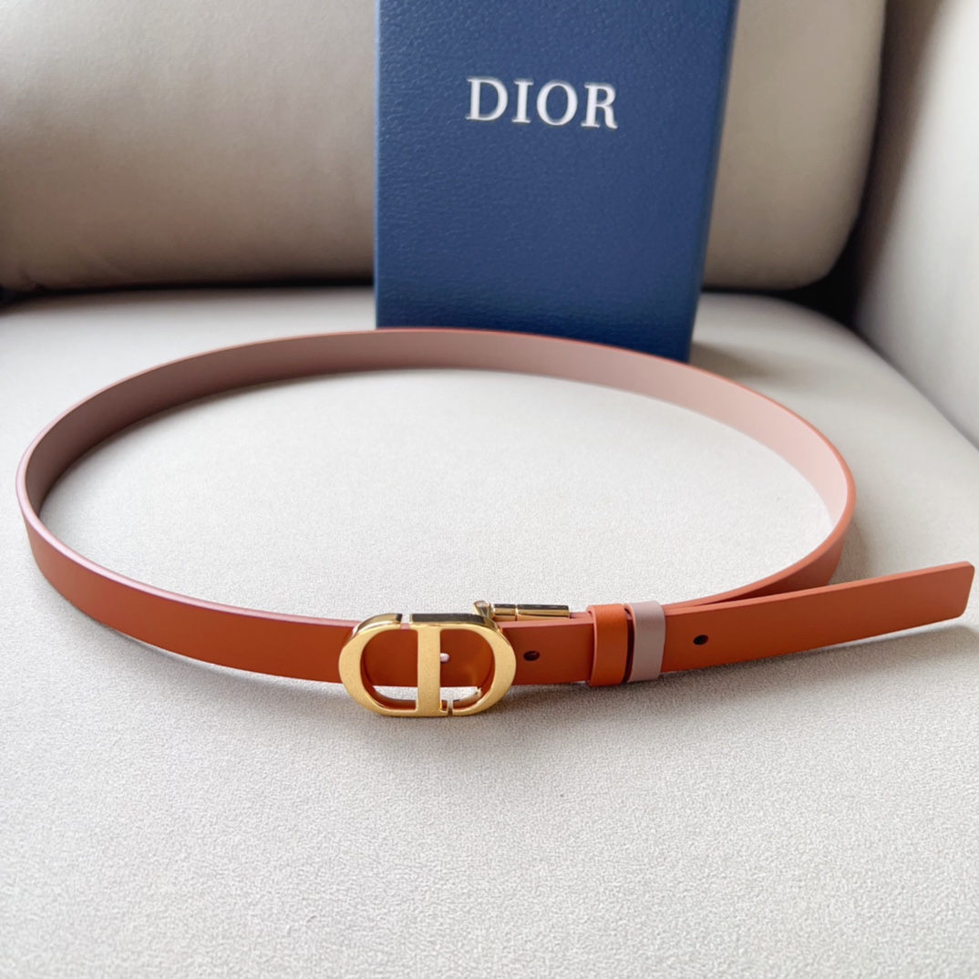 Montaigne*CD*腰带饰有*ChristianDior*标志富有光泽的金色饰面金属细节两个可拆卸