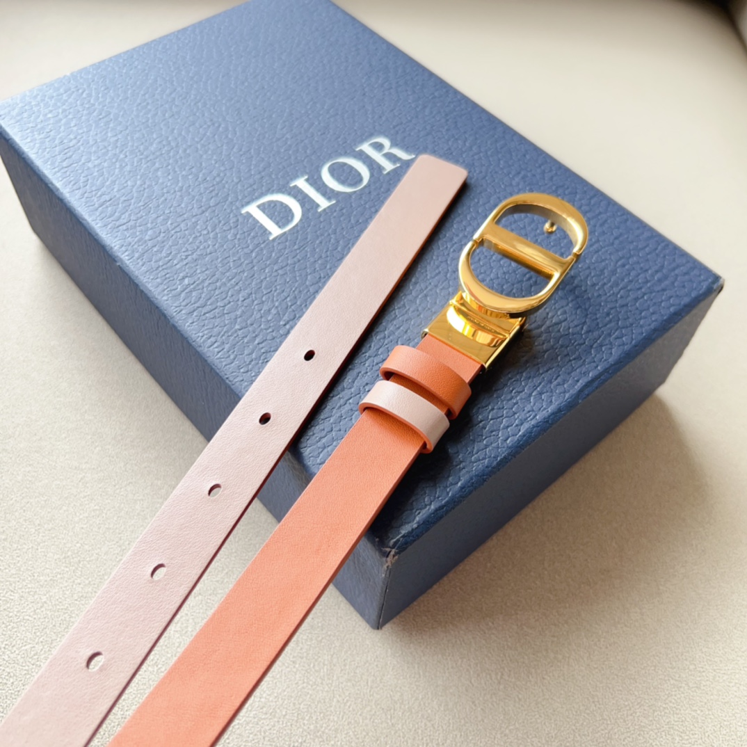 Montaigne*CD*腰带饰有*ChristianDior*标志富有光泽的金色饰面金属细节两个可拆卸
