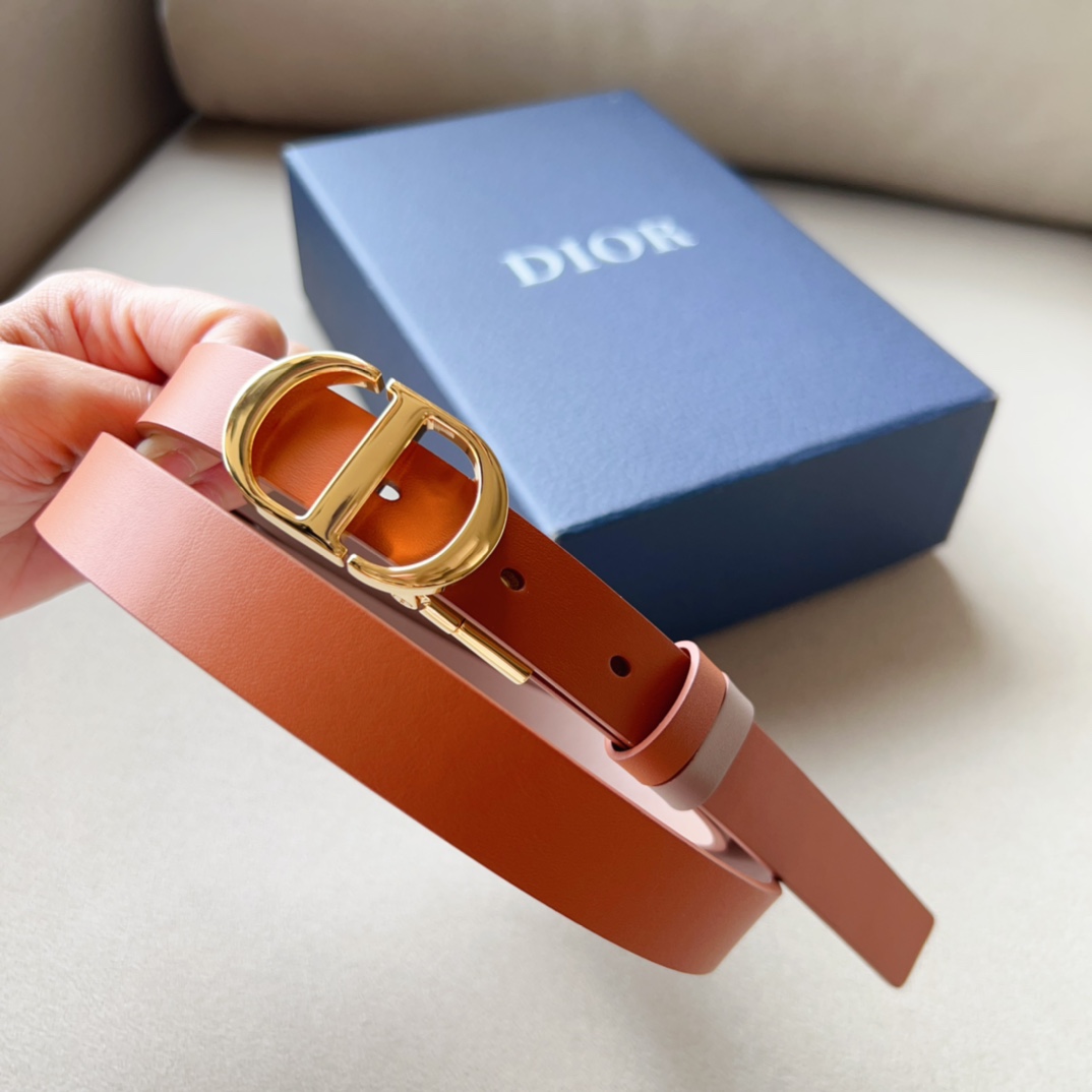 Montaigne*CD*腰带饰有*ChristianDior*标志富有光泽的金色饰面金属细节两个可拆卸
