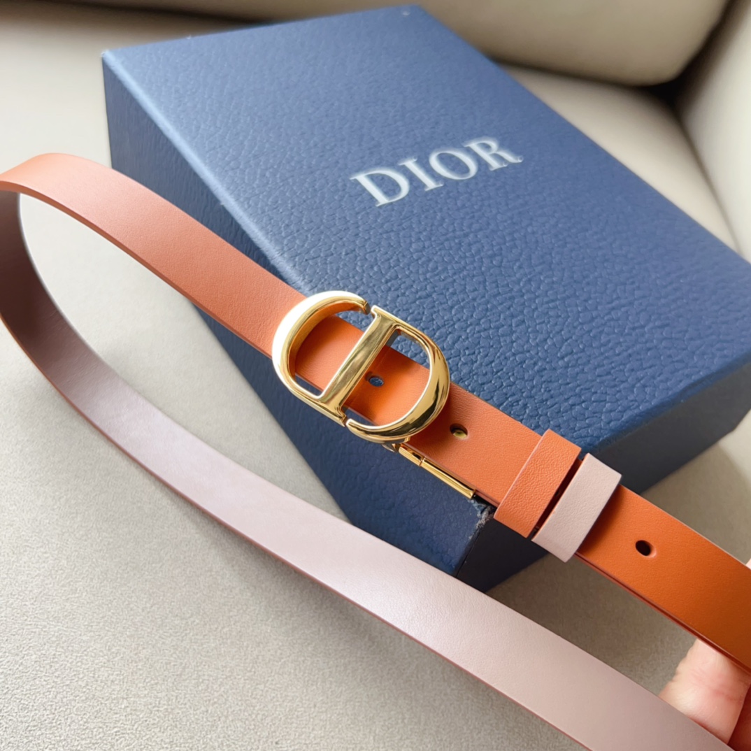 Montaigne*CD*腰带饰有*ChristianDior*标志富有光泽的金色饰面金属细节两个可拆卸