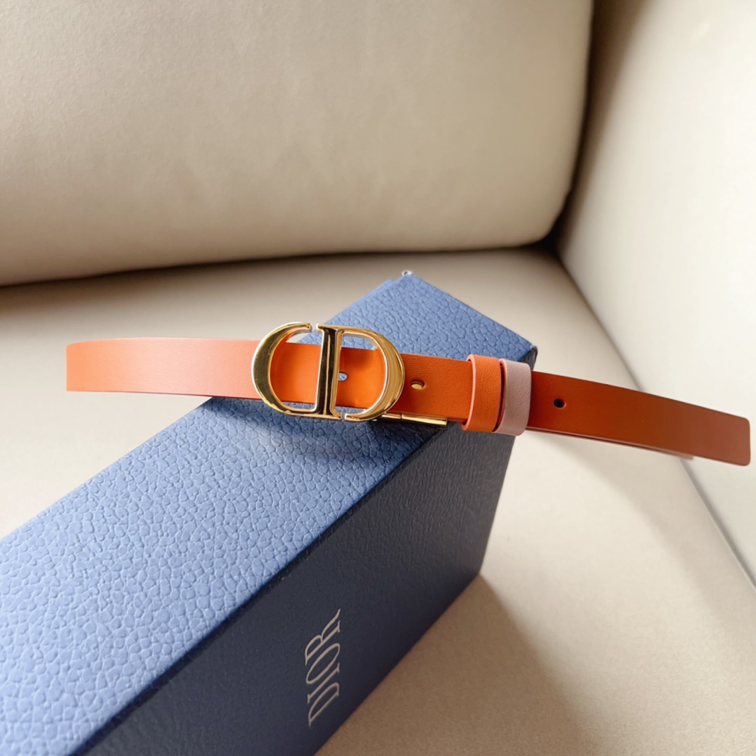 Montaigne*CD*腰带饰有*ChristianDior*标志富有光泽的金色饰面金属细节两个可拆卸