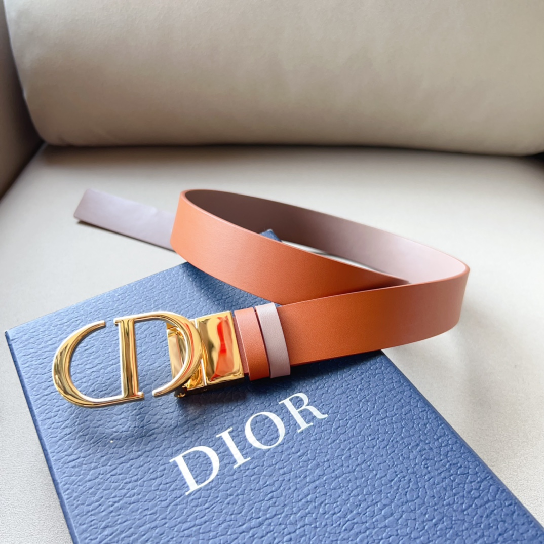 Montaigne*CD*腰带饰有*ChristianDior*标志富有光泽的金色饰面金属细节两个可拆卸
