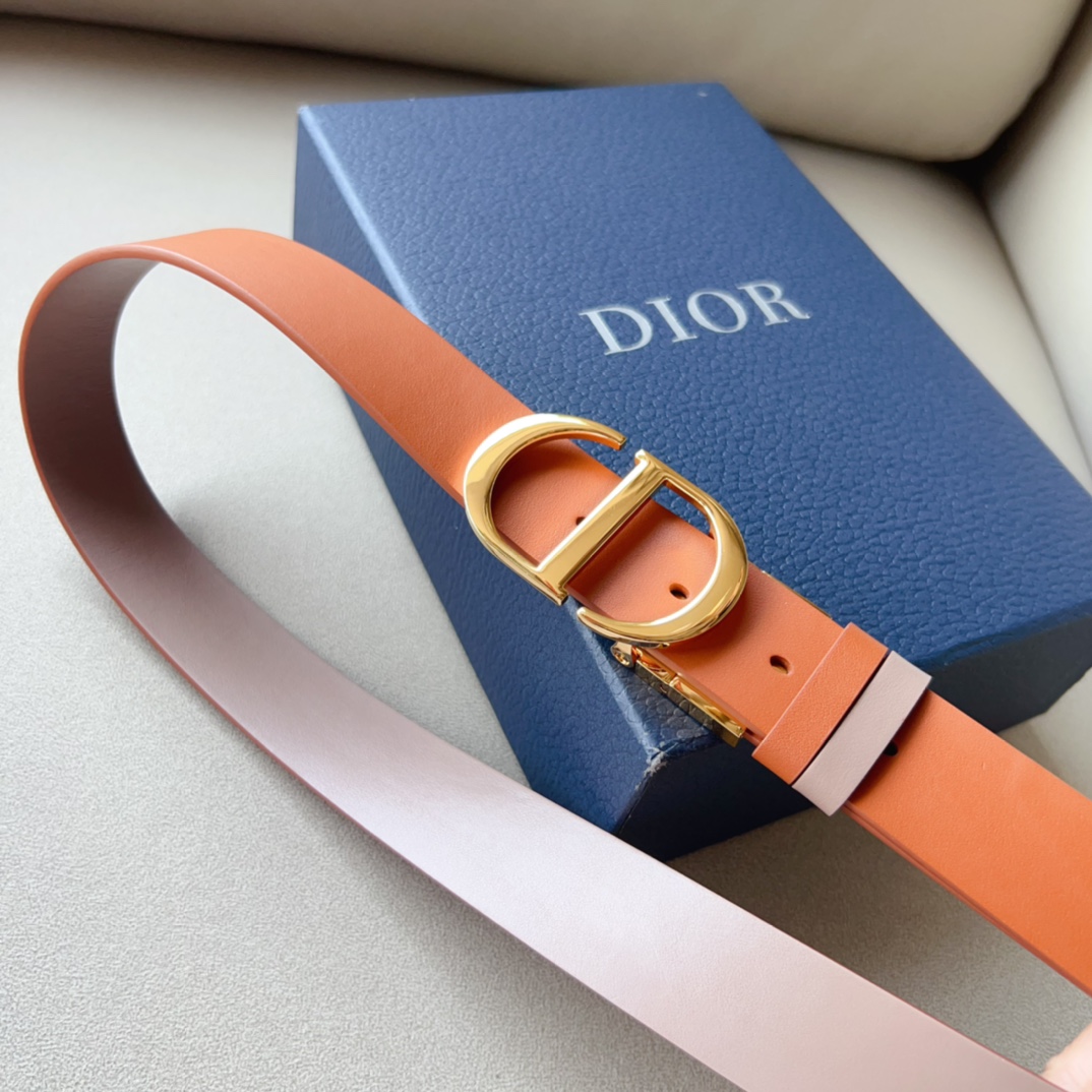 Montaigne*CD*腰带饰有*ChristianDior*标志富有光泽的金色饰面金属细节两个可拆卸