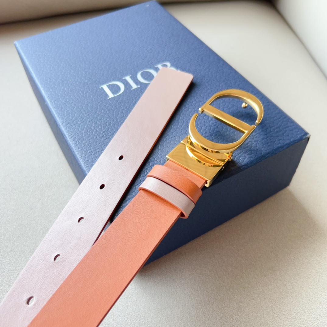 Montaigne*CD*腰带饰有*ChristianDior*标志富有光泽的金色饰面金属细节两个可拆卸