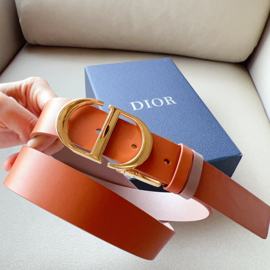 Montaigne*CD*腰带饰有*ChristianDior*标志富有光泽的金色饰面金属细节两个可拆卸