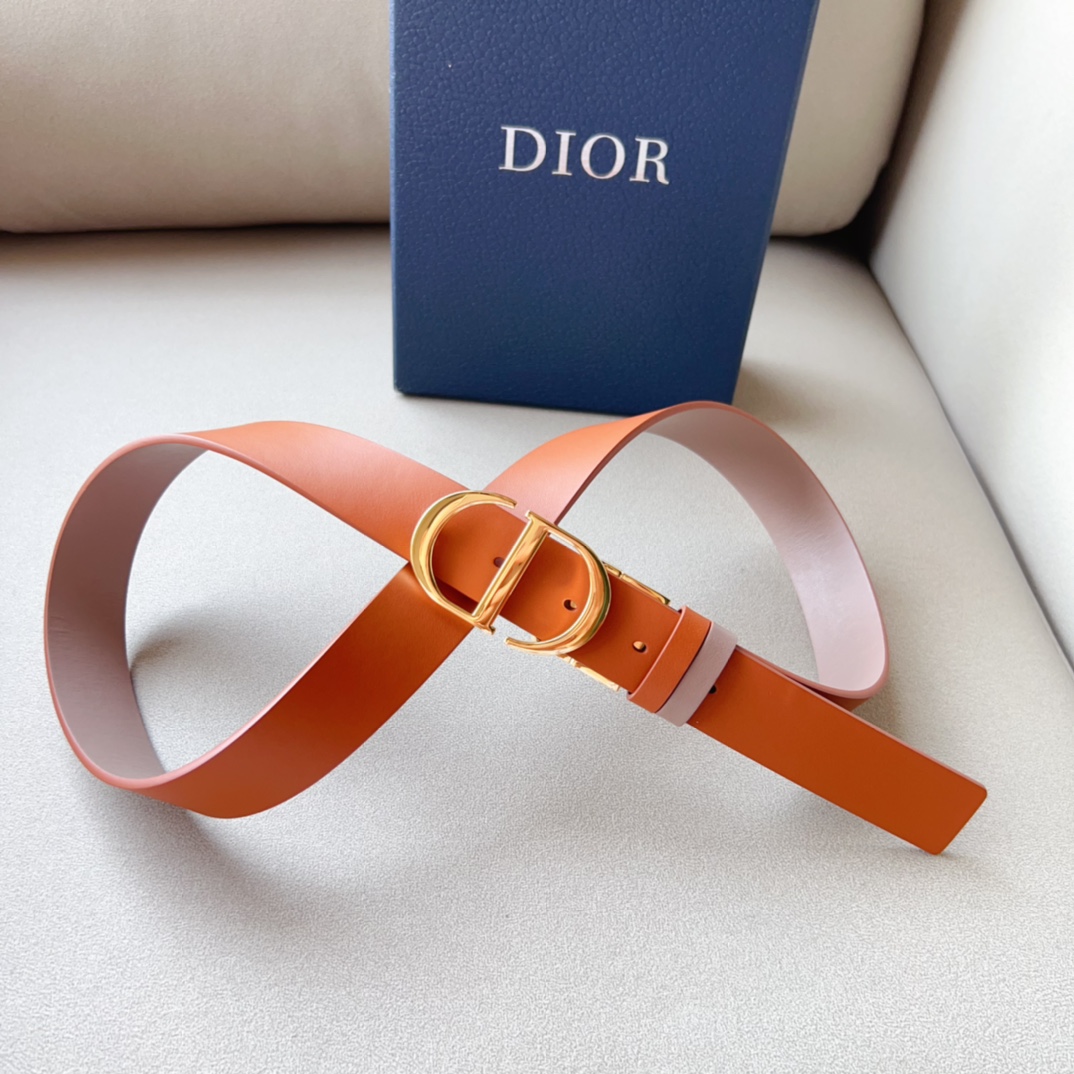 Montaigne*CD*腰带饰有*ChristianDior*标志富有光泽的金色饰面金属细节两个可拆卸